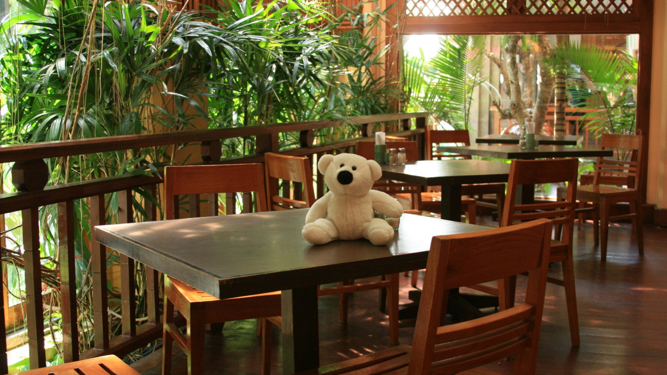 Peluche Ours Blanc Sur Table en Bois Marron. Wallpaper in 1366x768 Resolution