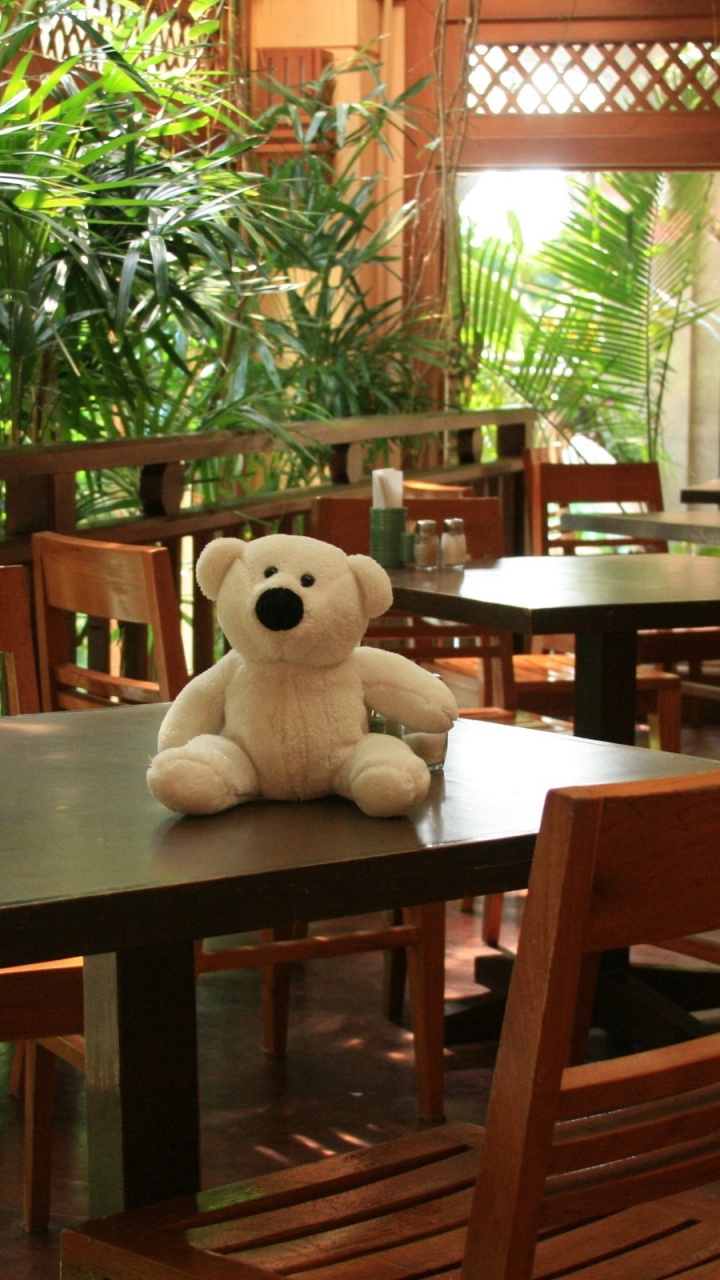 Peluche Oso Blanco Sobre Mesa de Madera Marrón. Wallpaper in 720x1280 Resolution