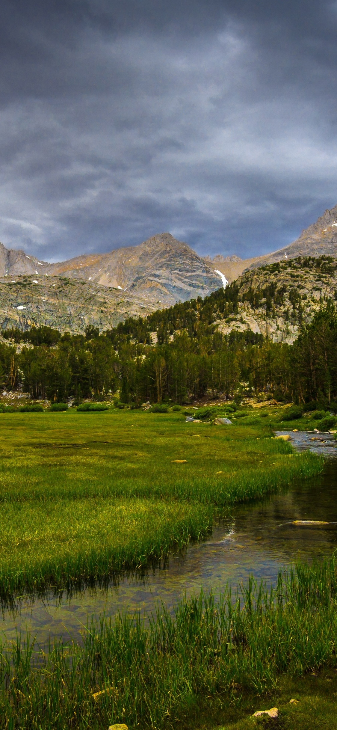 Campo de Hierba Verde Cerca de la Montaña Bajo un Cielo Nublado Durante el Día. Wallpaper in 1125x2436 Resolution