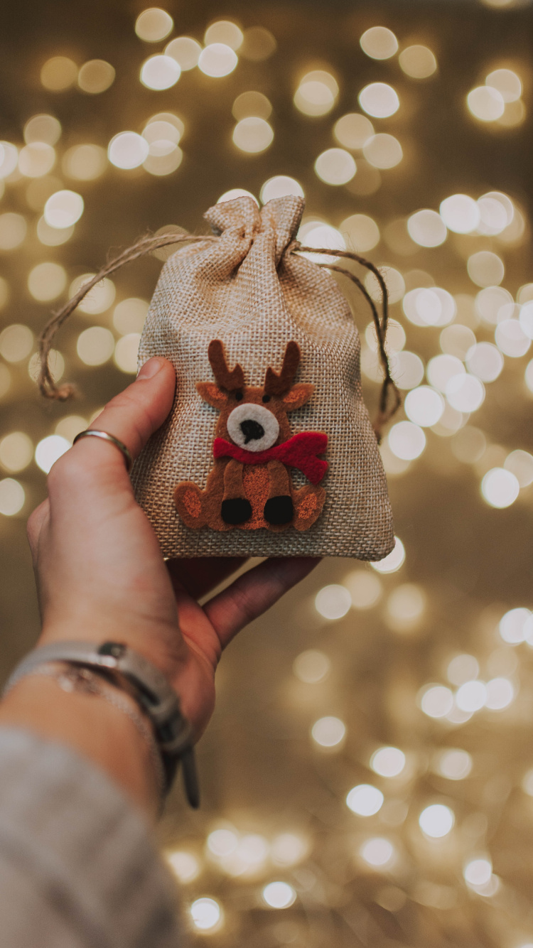 Person Mit Grauer Und Roter Strickmütze. Wallpaper in 750x1334 Resolution