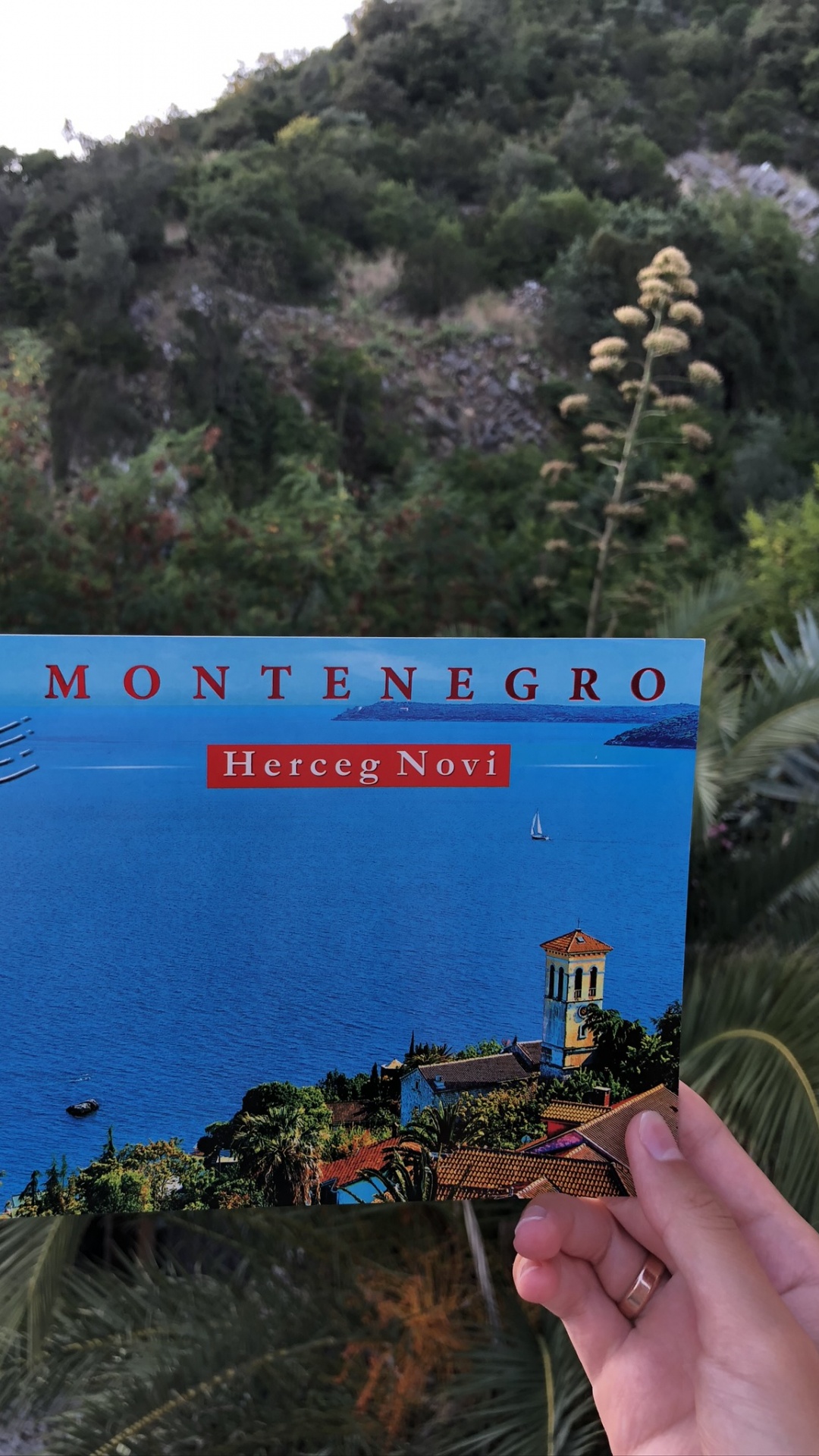 Montenegro, Naturaleza, Viaje, Ecosistema, Los Recursos de Agua. Wallpaper in 1080x1920 Resolution