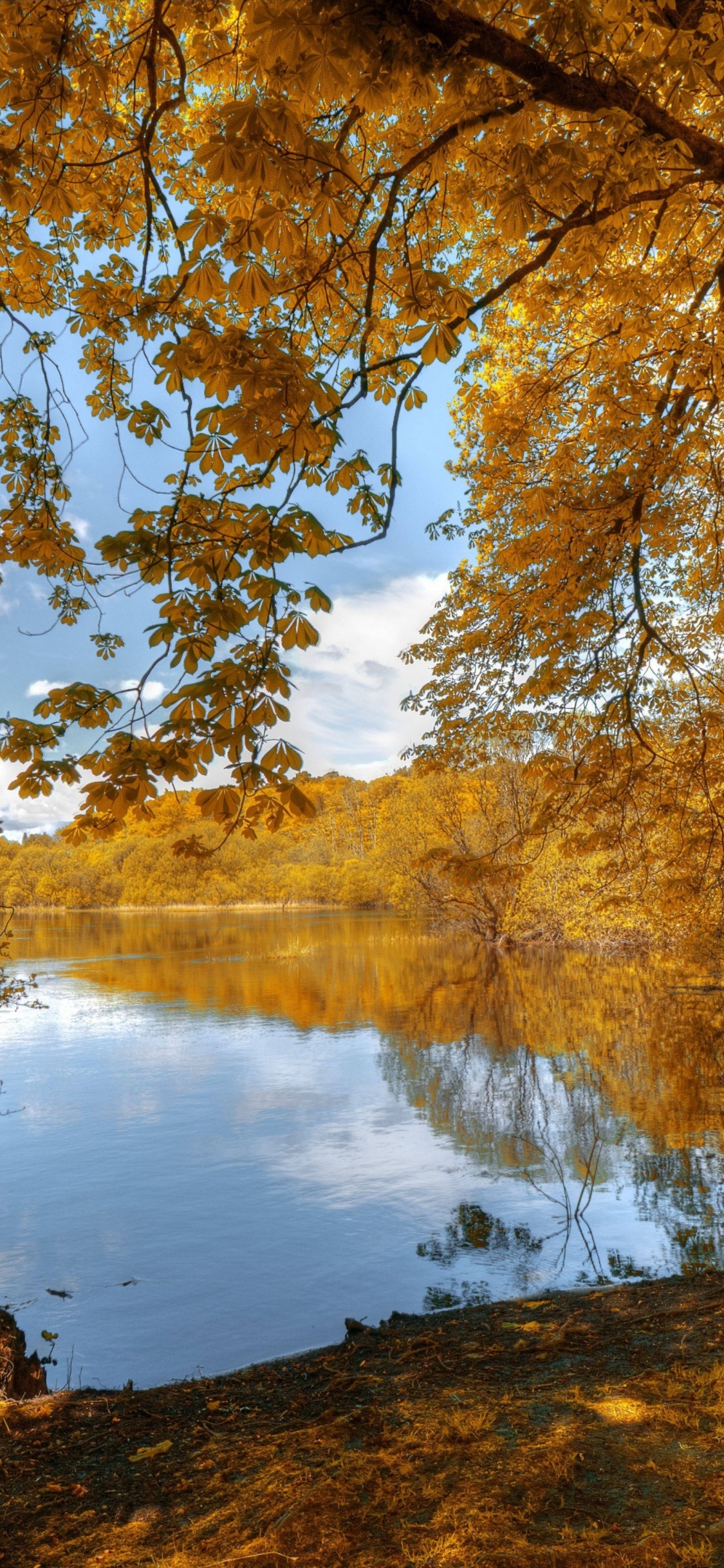 Mur, Affiche, Eau, Les Ressources en Eau, Paysage Naturel. Wallpaper in 1125x2436 Resolution