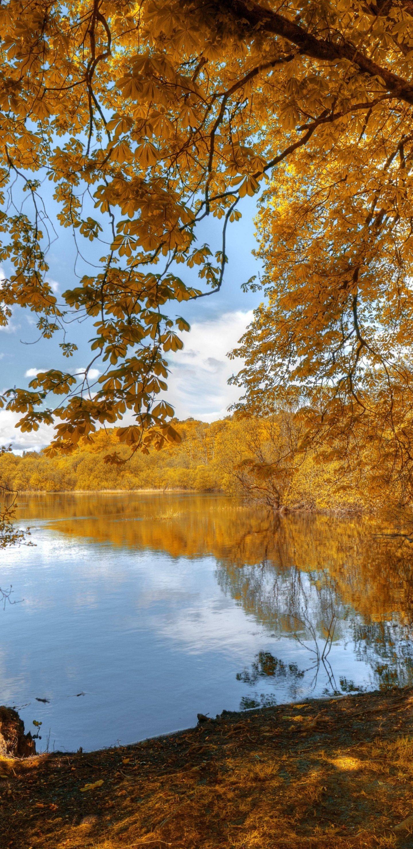 Mur, Affiche, Eau, Les Ressources en Eau, Paysage Naturel. Wallpaper in 1440x2960 Resolution