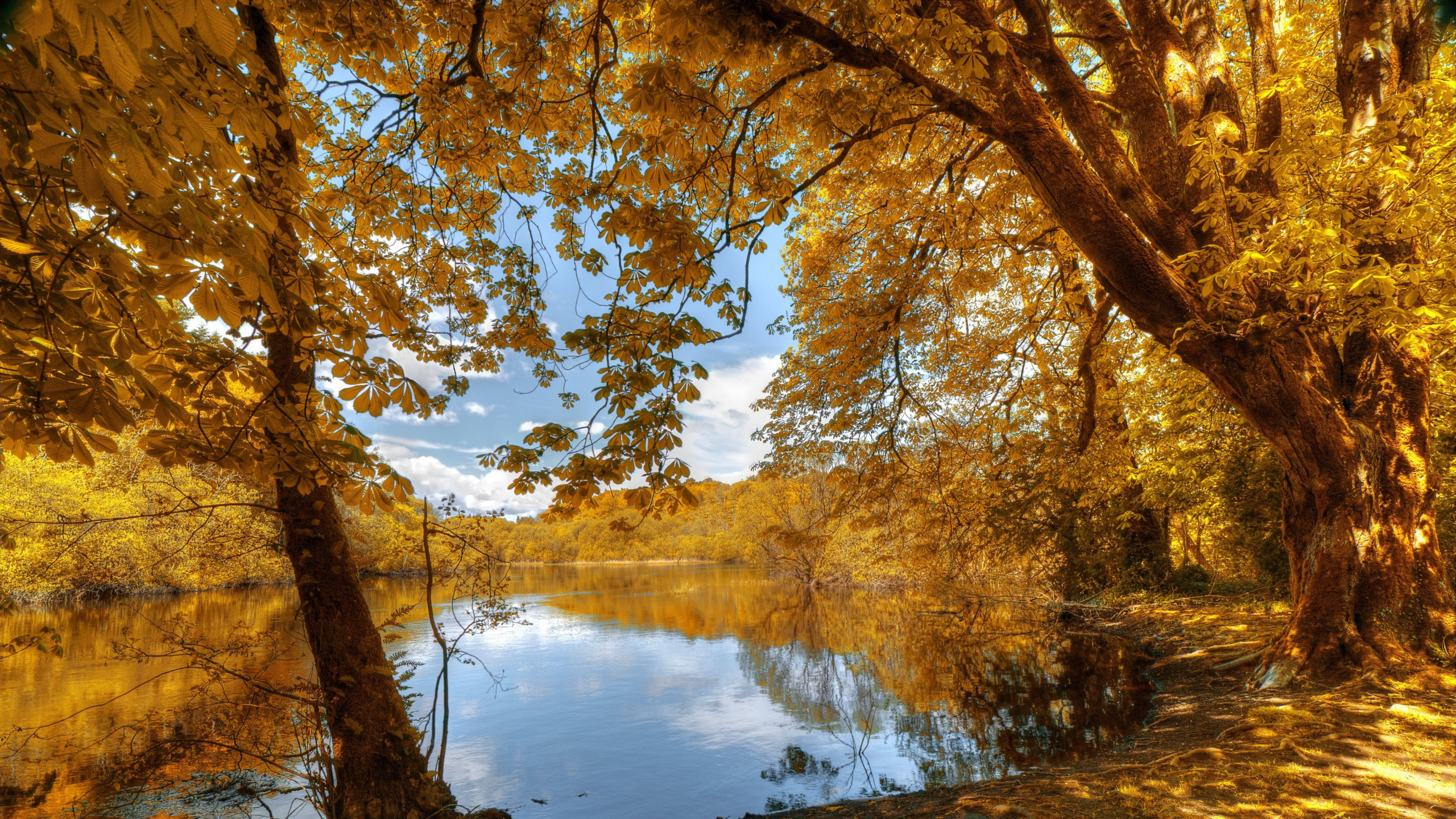 Mur, Affiche, Eau, Les Ressources en Eau, Paysage Naturel. Wallpaper in 2560x1440 Resolution