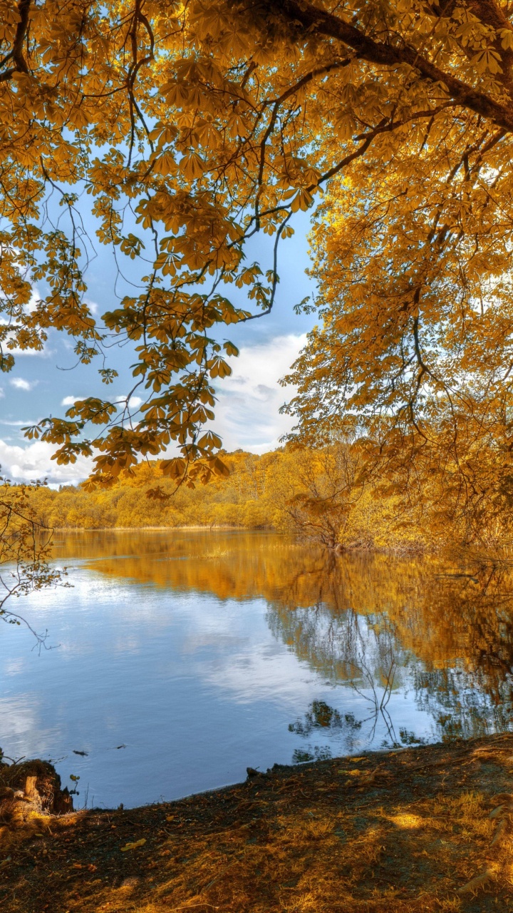 Mur, Affiche, Eau, Les Ressources en Eau, Paysage Naturel. Wallpaper in 720x1280 Resolution