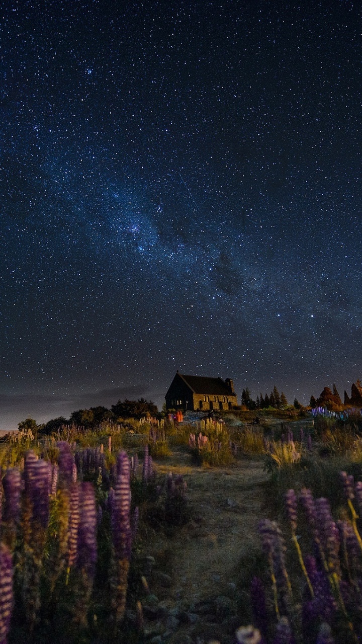 Green Trees Under Starry Night. Wallpaper in 720x1280 Resolution