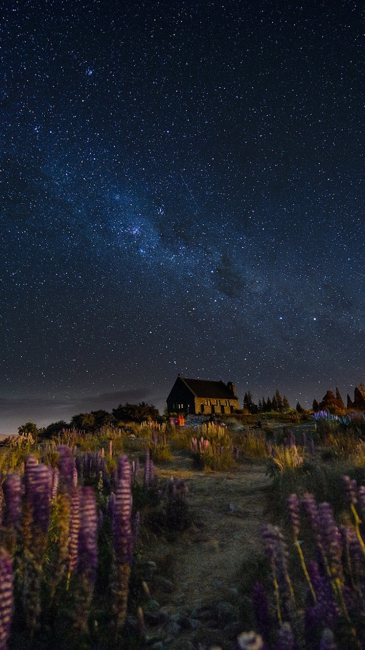 Green Trees Under Starry Night. Wallpaper in 750x1334 Resolution