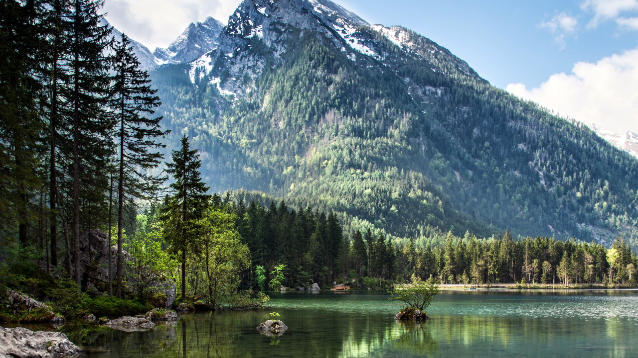 Green Trees Near Lake and Mountain. Wallpaper in 1280x720 Resolution