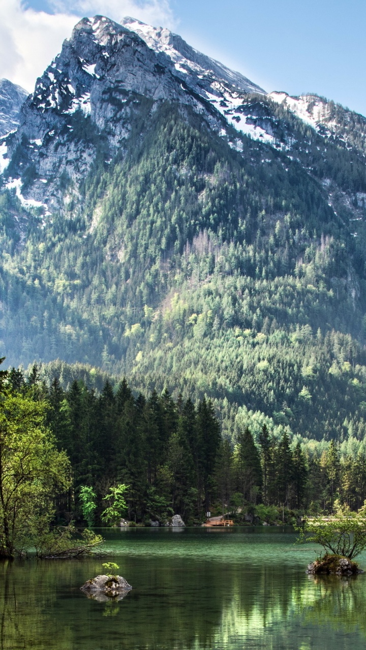 Green Trees Near Lake and Mountain. Wallpaper in 720x1280 Resolution