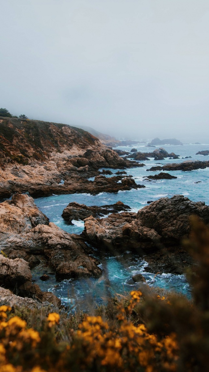 木, 水资源, 自然景观, 高地, 水道 壁纸 720x1280 允许