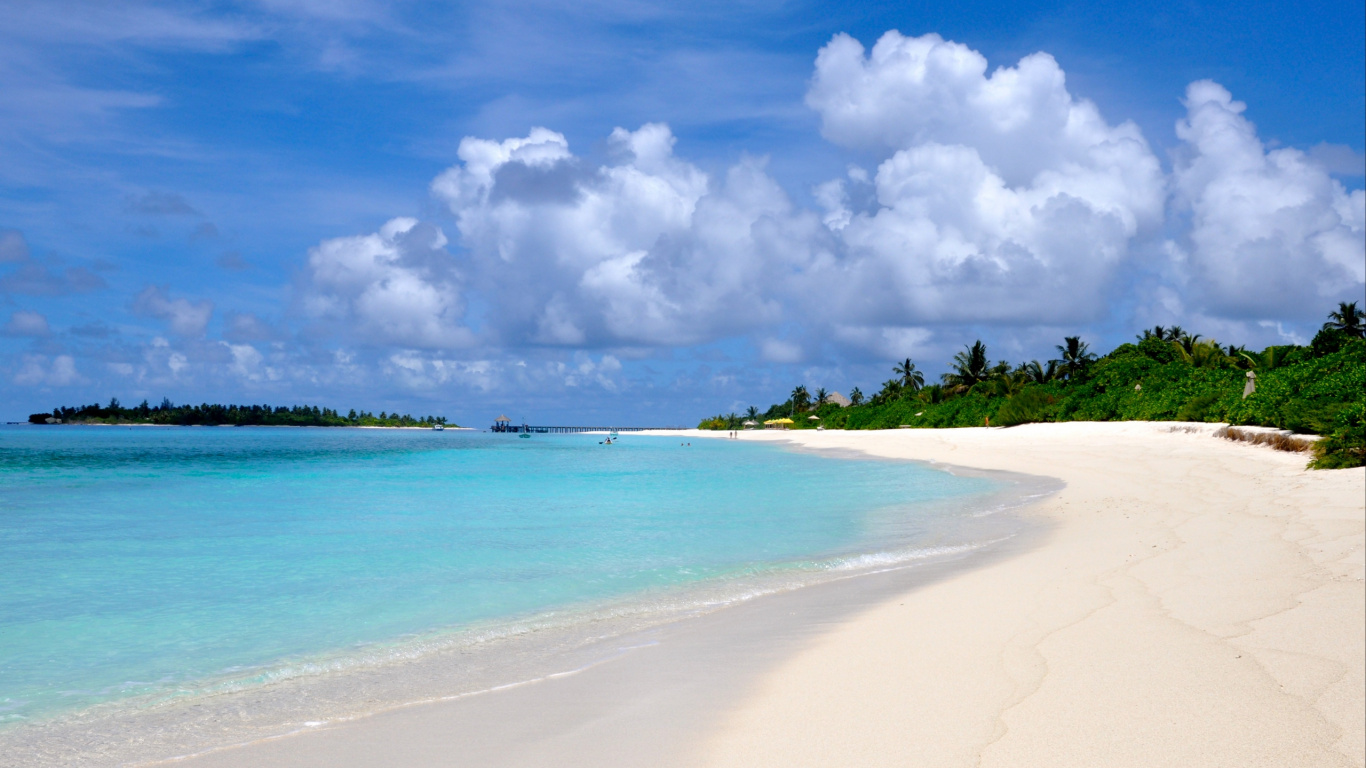 Green Trees on White Sand Beach During Daytime. Wallpaper in 1366x768 Resolution