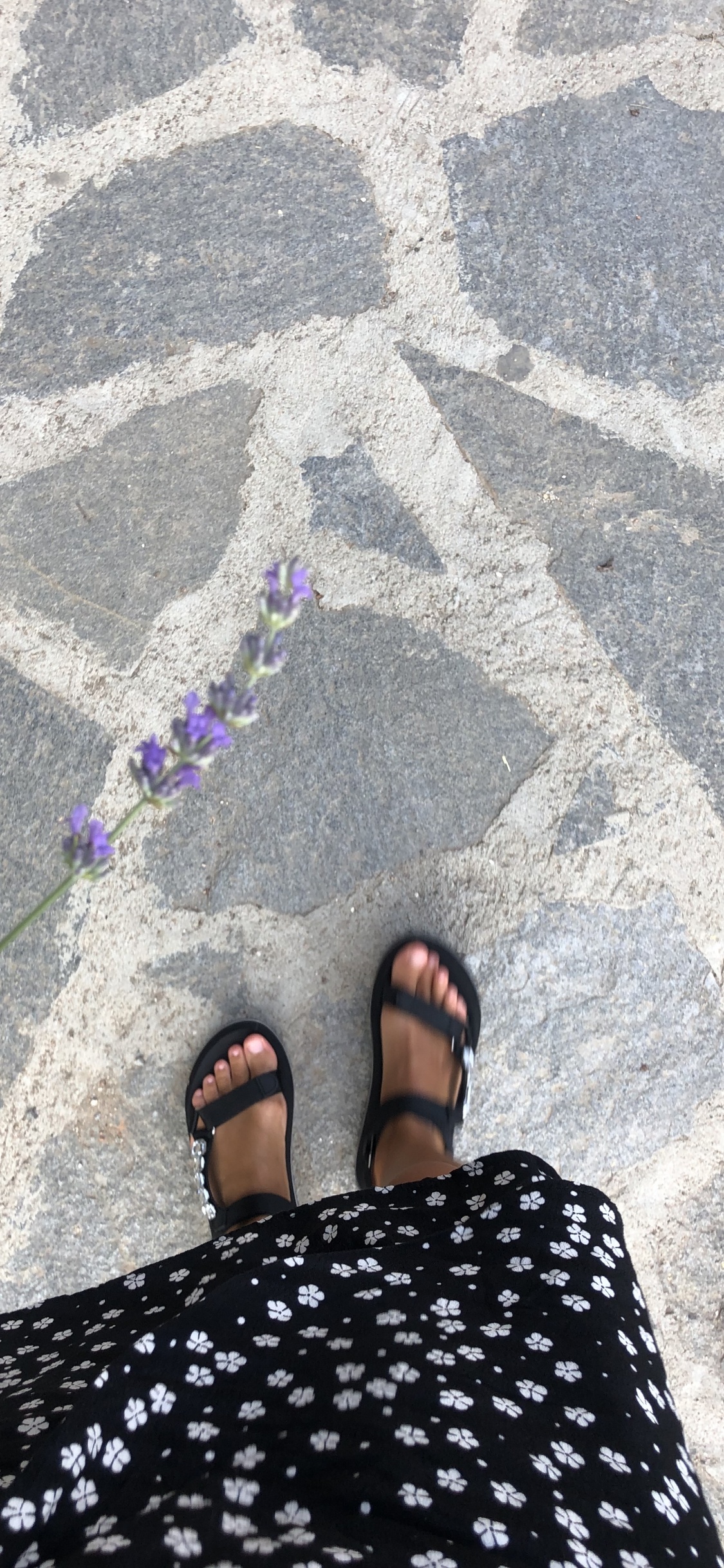 人们在自然界, 脚, 指甲, 脚踝 壁纸 1125x2436 允许