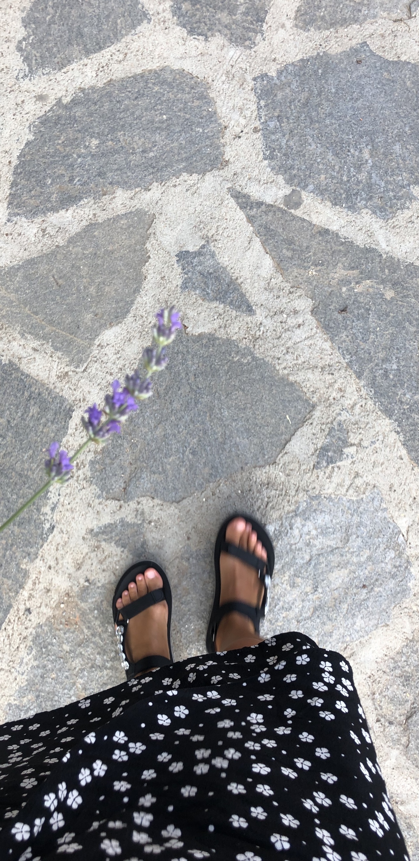 人们在自然界, 脚, 指甲, 脚踝 壁纸 1440x2960 允许