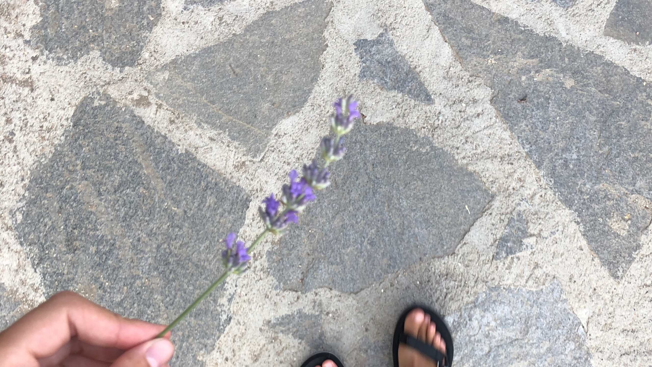 人们在自然界, 脚, 指甲, 脚踝 壁纸 2560x1440 允许