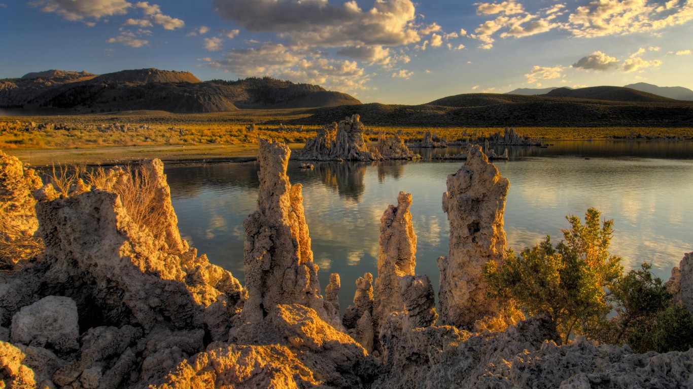 Árboles Marrones Cerca Del Cuerpo de Agua Bajo un Cielo Nublado Durante el Día. Wallpaper in 1366x768 Resolution