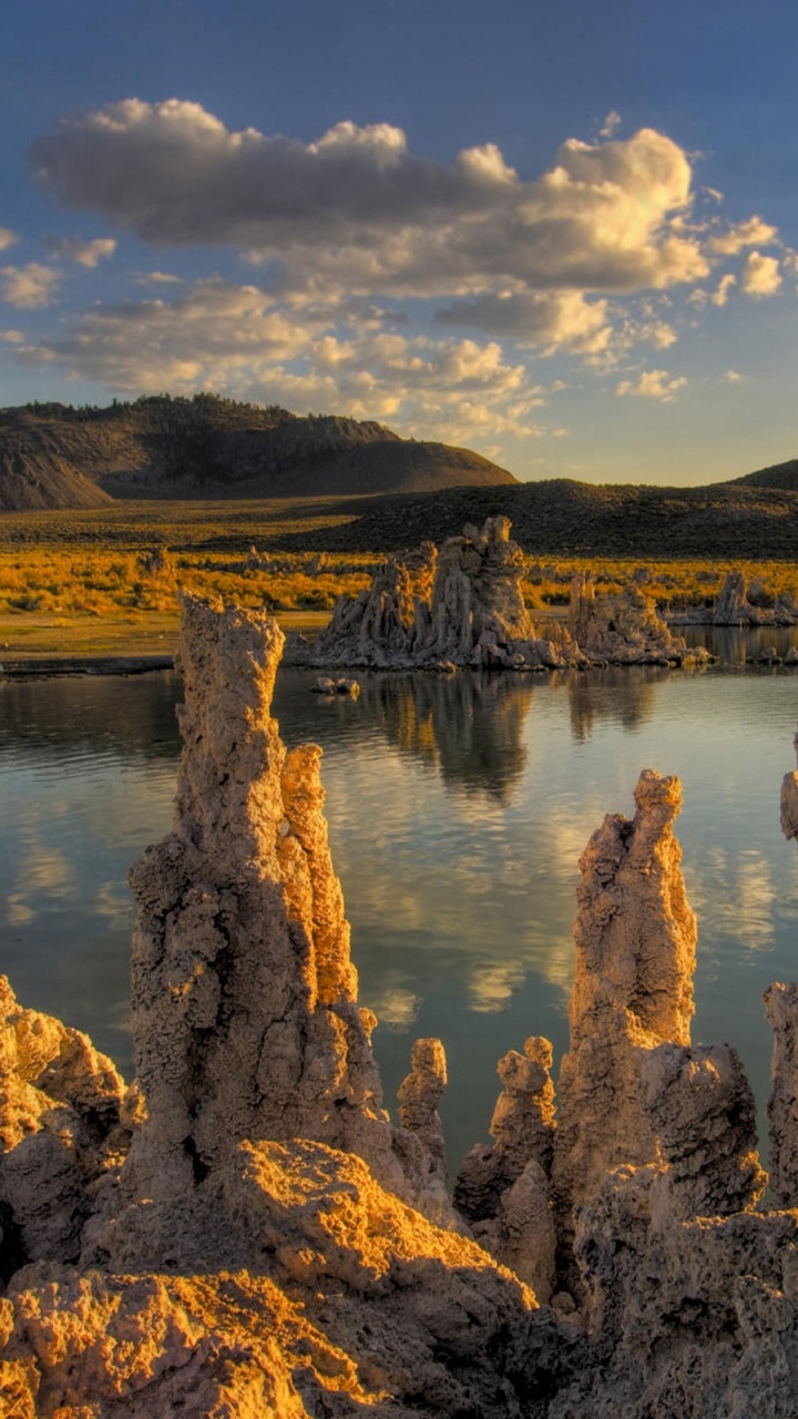 Brown Trees Near Body of Water Under Cloudy Sky During Daytime. Wallpaper in 720x1280 Resolution