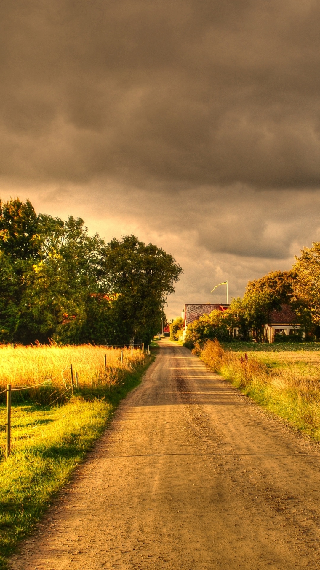 Gray Concrete Road Between Green Grass Field Under Gray Clouds. Wallpaper in 1080x1920 Resolution
