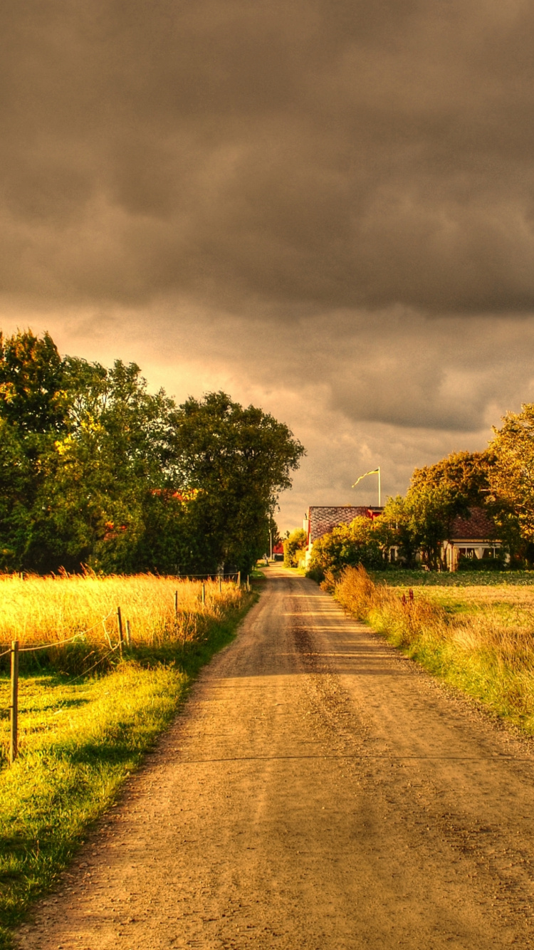 Gray Concrete Road Between Green Grass Field Under Gray Clouds. Wallpaper in 750x1334 Resolution