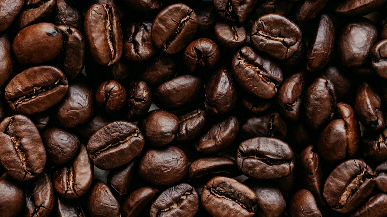 Cocoa Bean, Jamaican Blue Mountain Coffee, Coffee, Brown, Single-origin Coffee. Wallpaper in 1280x720 Resolution