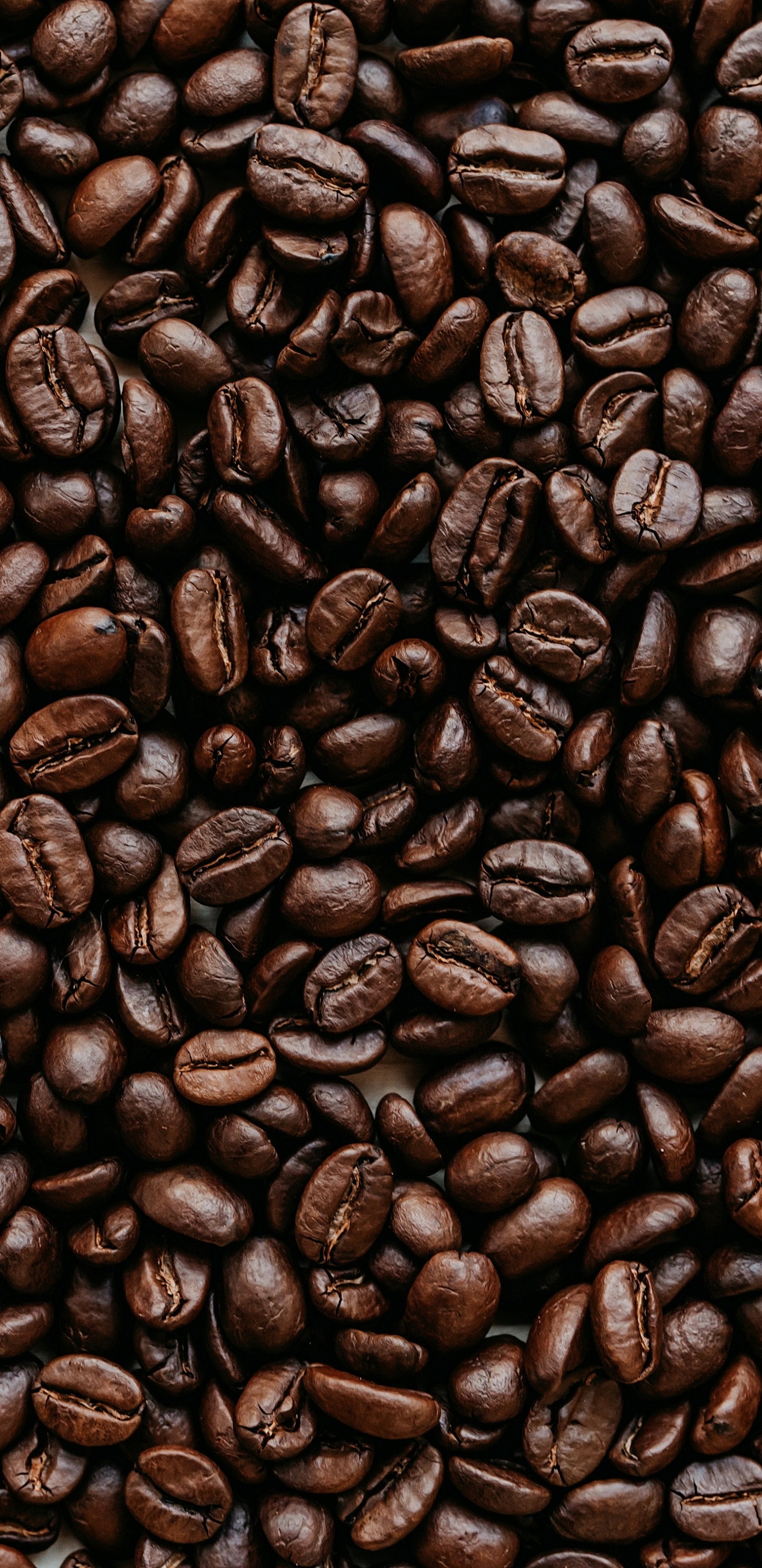 Kakaobohne, Jamaikanischer Blue-mountain-Kaffee, Kaffee, Brown, Single-origin Kaffee. Wallpaper in 1440x2960 Resolution