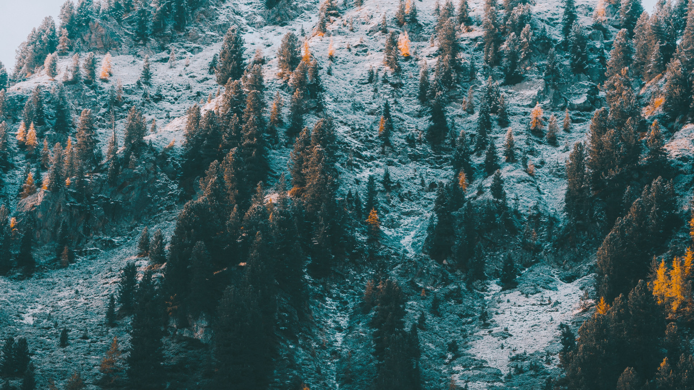 M-Baum, Türkis, Bergkette, Mount Scenery, Winter. Wallpaper in 1366x768 Resolution