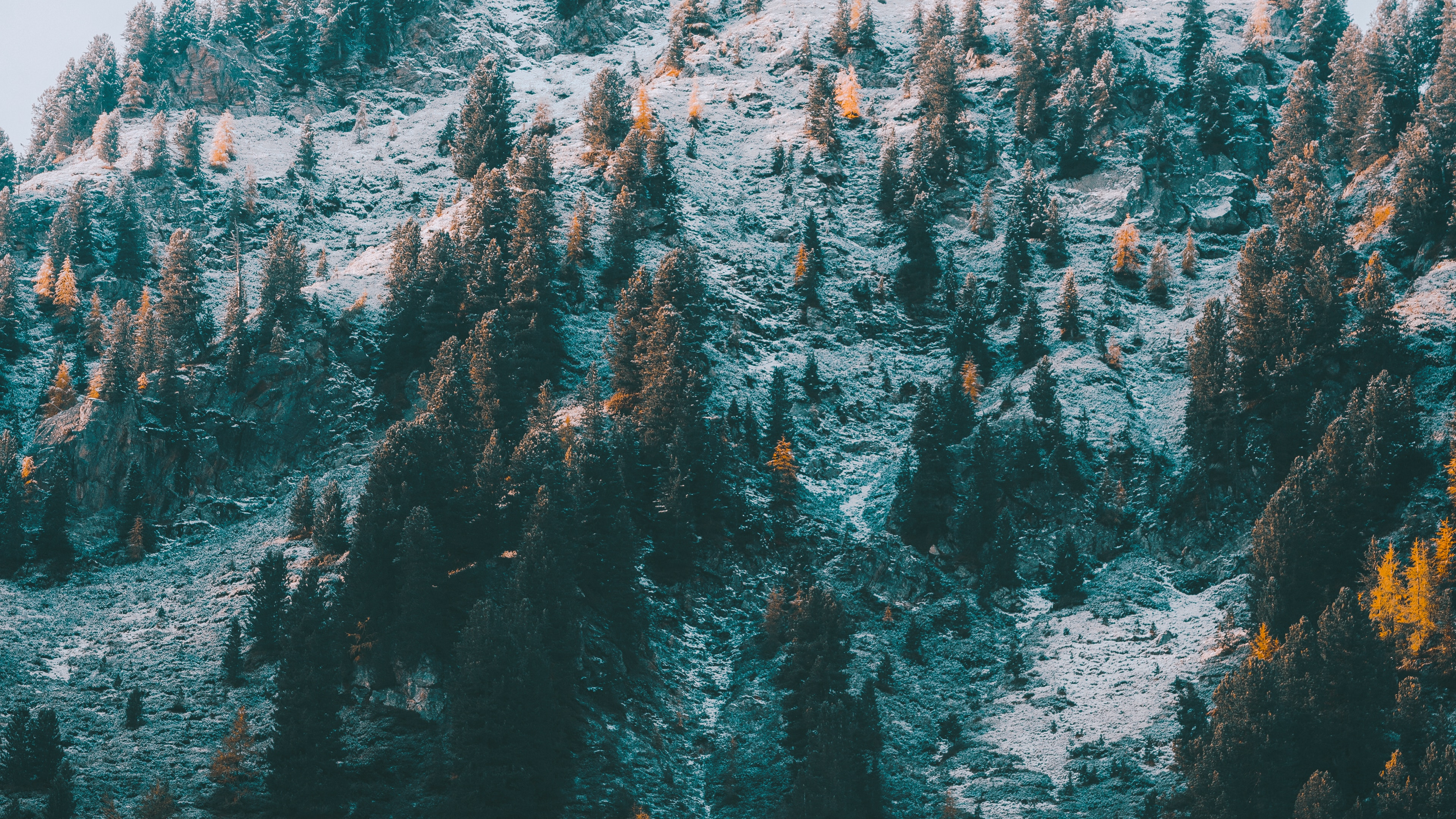 M-Baum, Türkis, Bergkette, Mount Scenery, Winter. Wallpaper in 3840x2160 Resolution