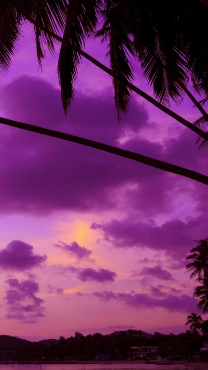 Green Palm Tree Under Cloudy Sky During Daytime. Wallpaper in 720x1280 Resolution