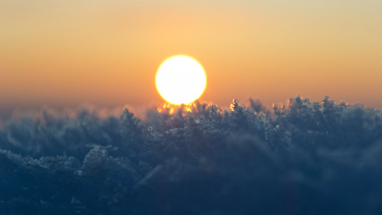 Sun Setting Over The Trees. Wallpaper in 1280x720 Resolution