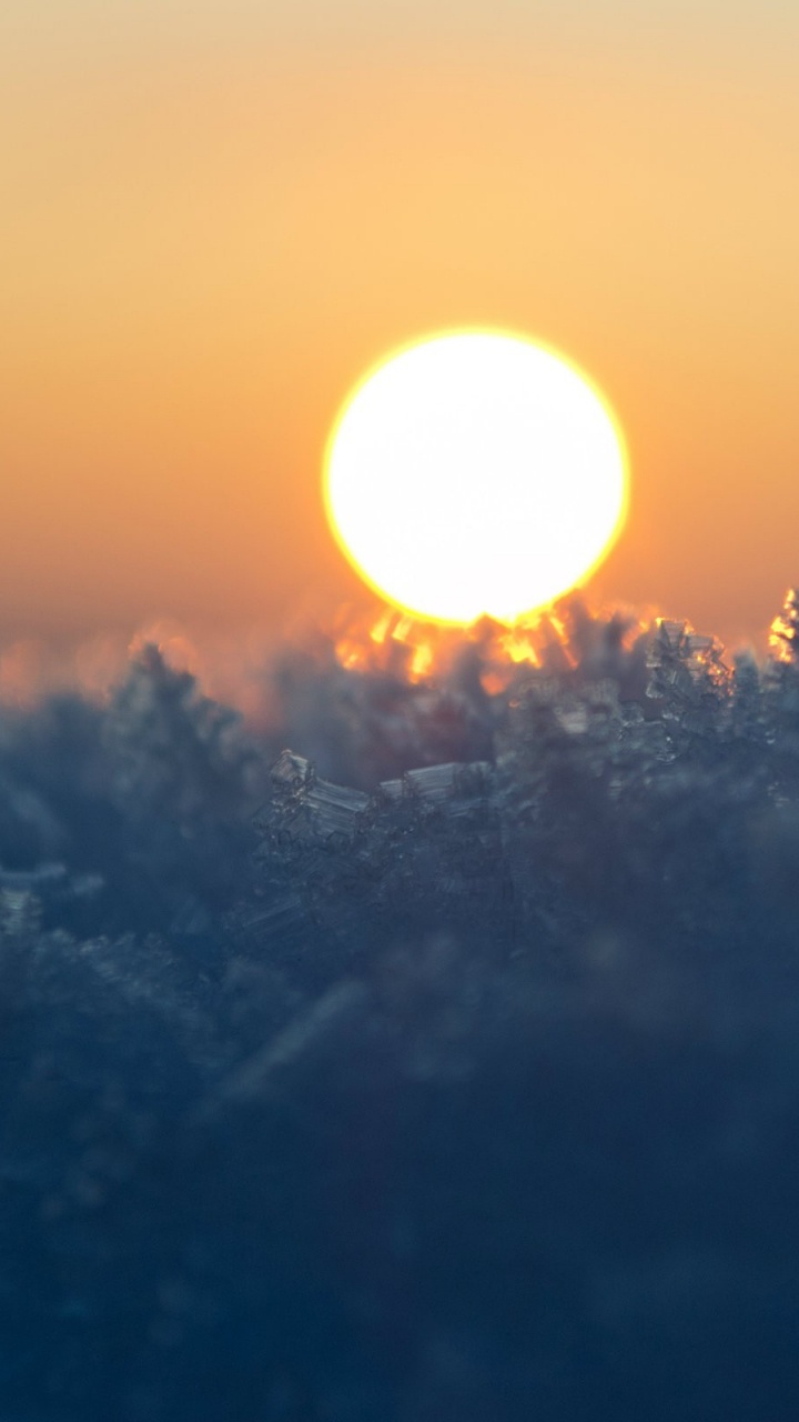 Sun Setting Over The Trees. Wallpaper in 720x1280 Resolution