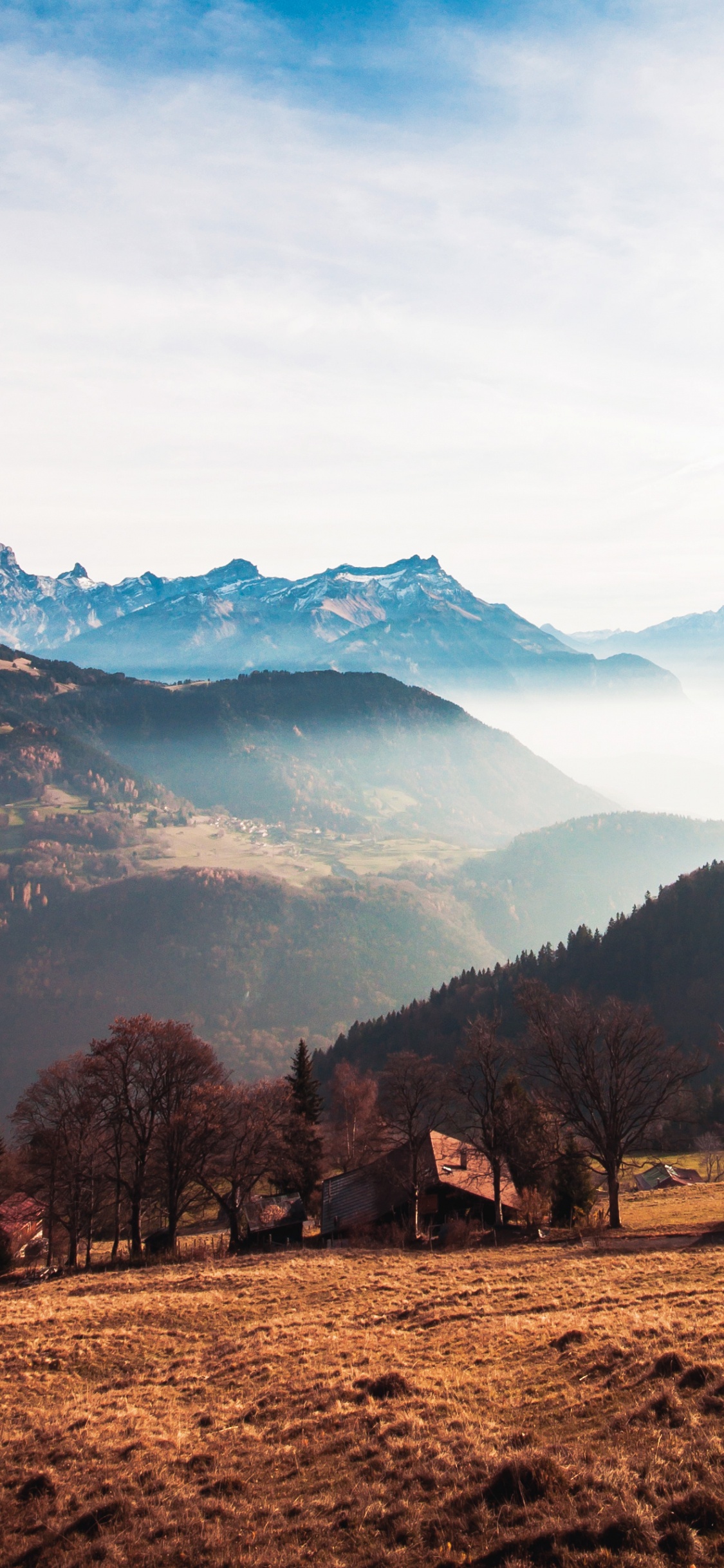 Summit, Kilonewton, Tree, Book, Valley. Wallpaper in 1125x2436 Resolution