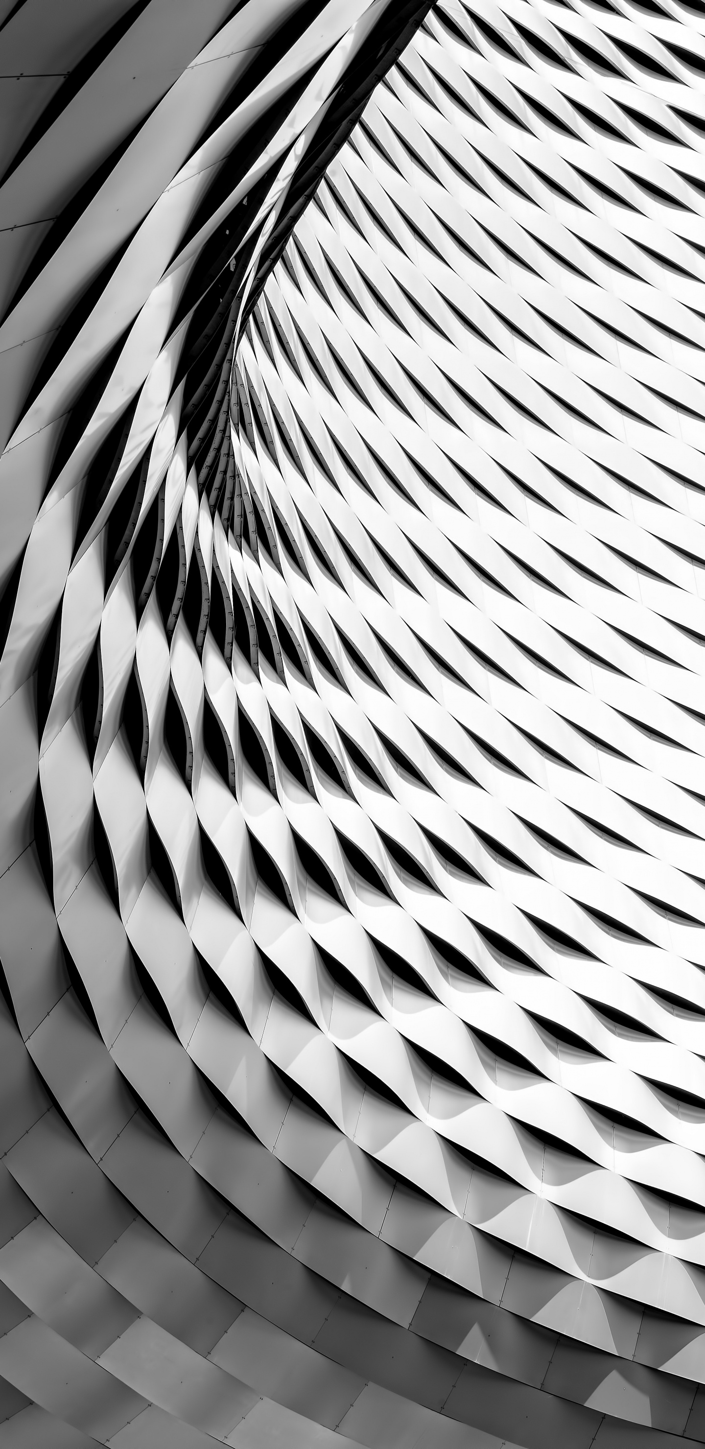 Illustration en Spirale Blanche et Noire. Wallpaper in 1440x2960 Resolution