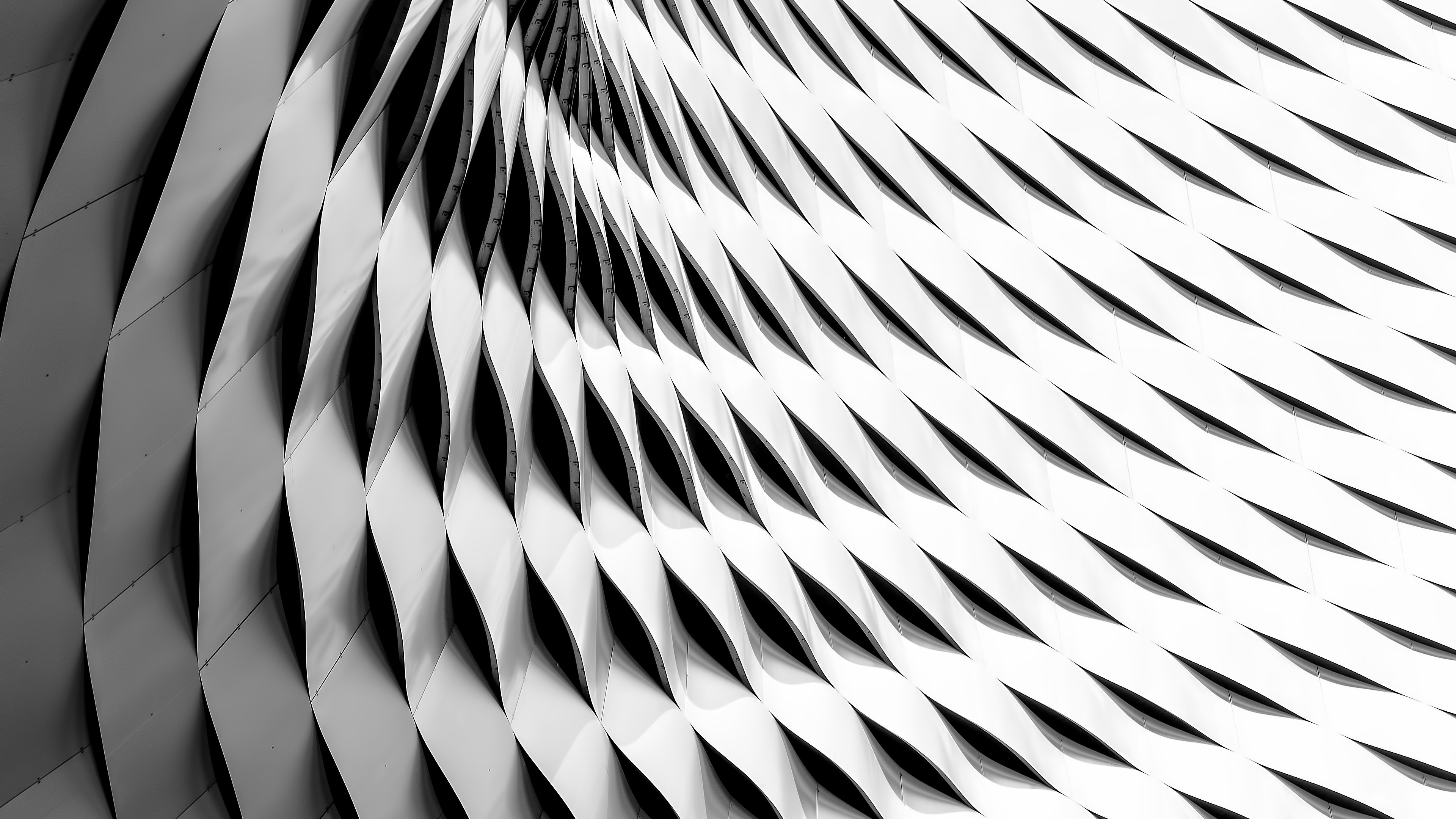 黑色和白色的, 黑色的, 关闭了, 数据, 结构 壁纸 3840x2160 允许