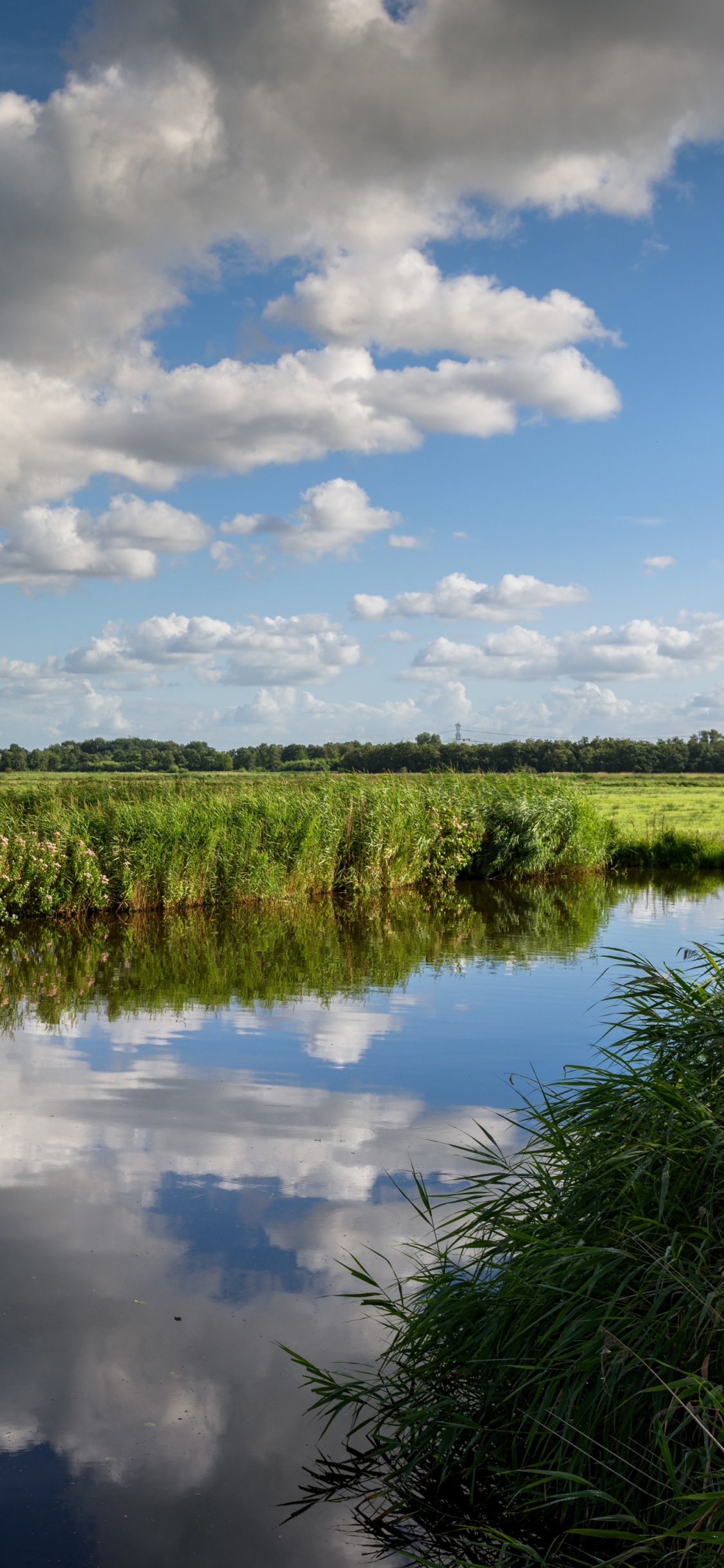 Champ D'herbe Verte Près de la Rivière Sous un Ciel Nuageux Bleu et Blanc Pendant la Journée. Wallpaper in 1125x2436 Resolution