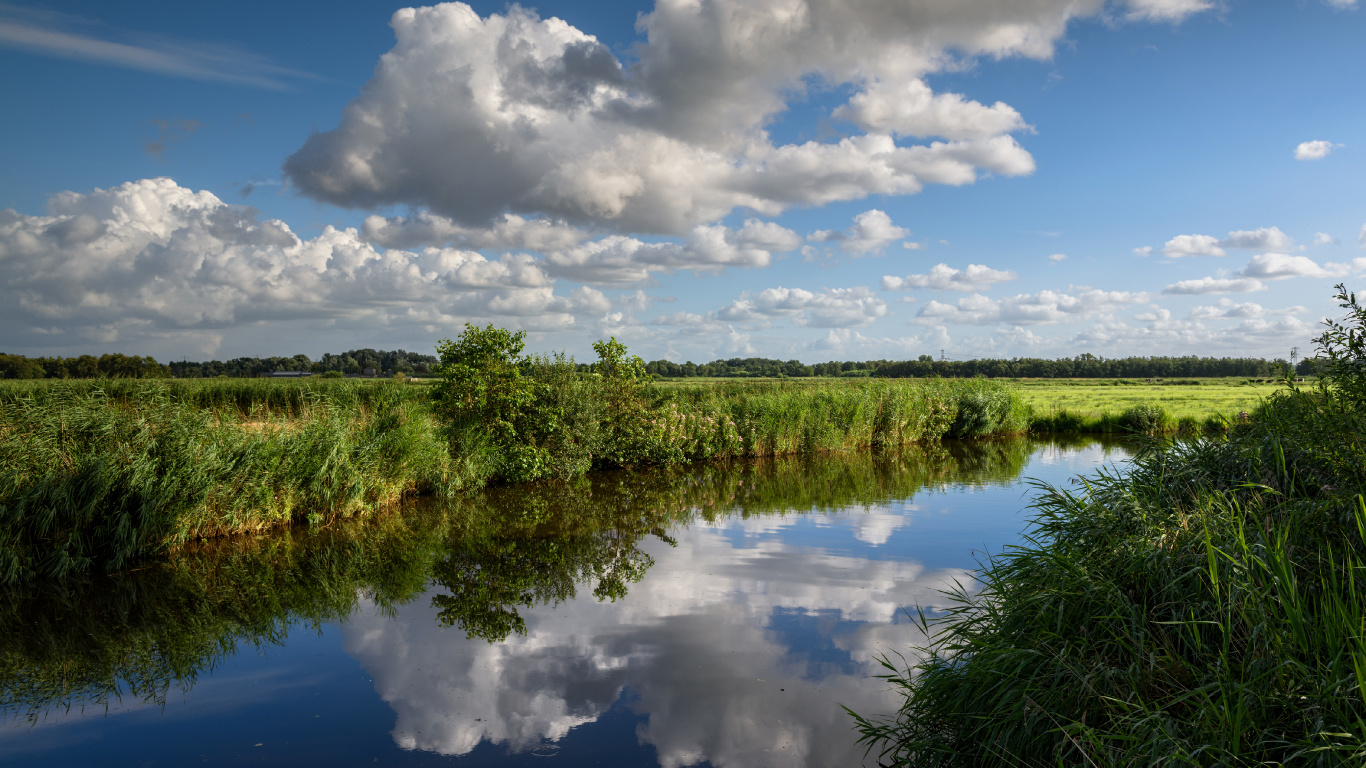Champ D'herbe Verte Près de la Rivière Sous un Ciel Nuageux Bleu et Blanc Pendant la Journée. Wallpaper in 1366x768 Resolution