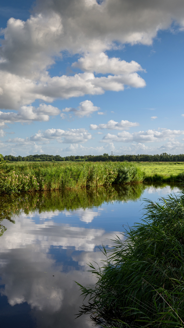 Champ D'herbe Verte Près de la Rivière Sous un Ciel Nuageux Bleu et Blanc Pendant la Journée. Wallpaper in 750x1334 Resolution