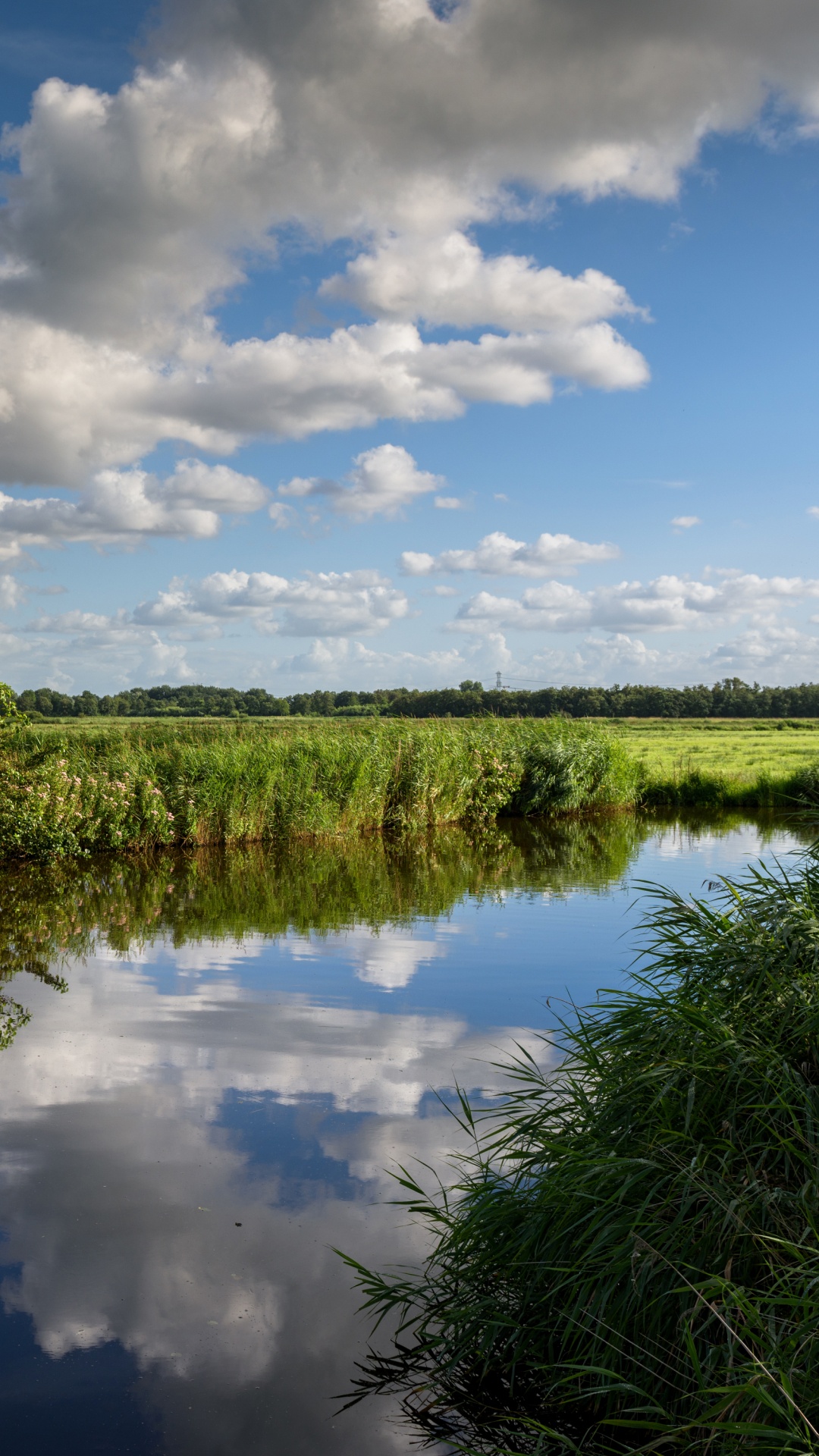 Green Grass Field Near River Under Blue and White Cloudy Sky During Daytime. Wallpaper in 1080x1920 Resolution
