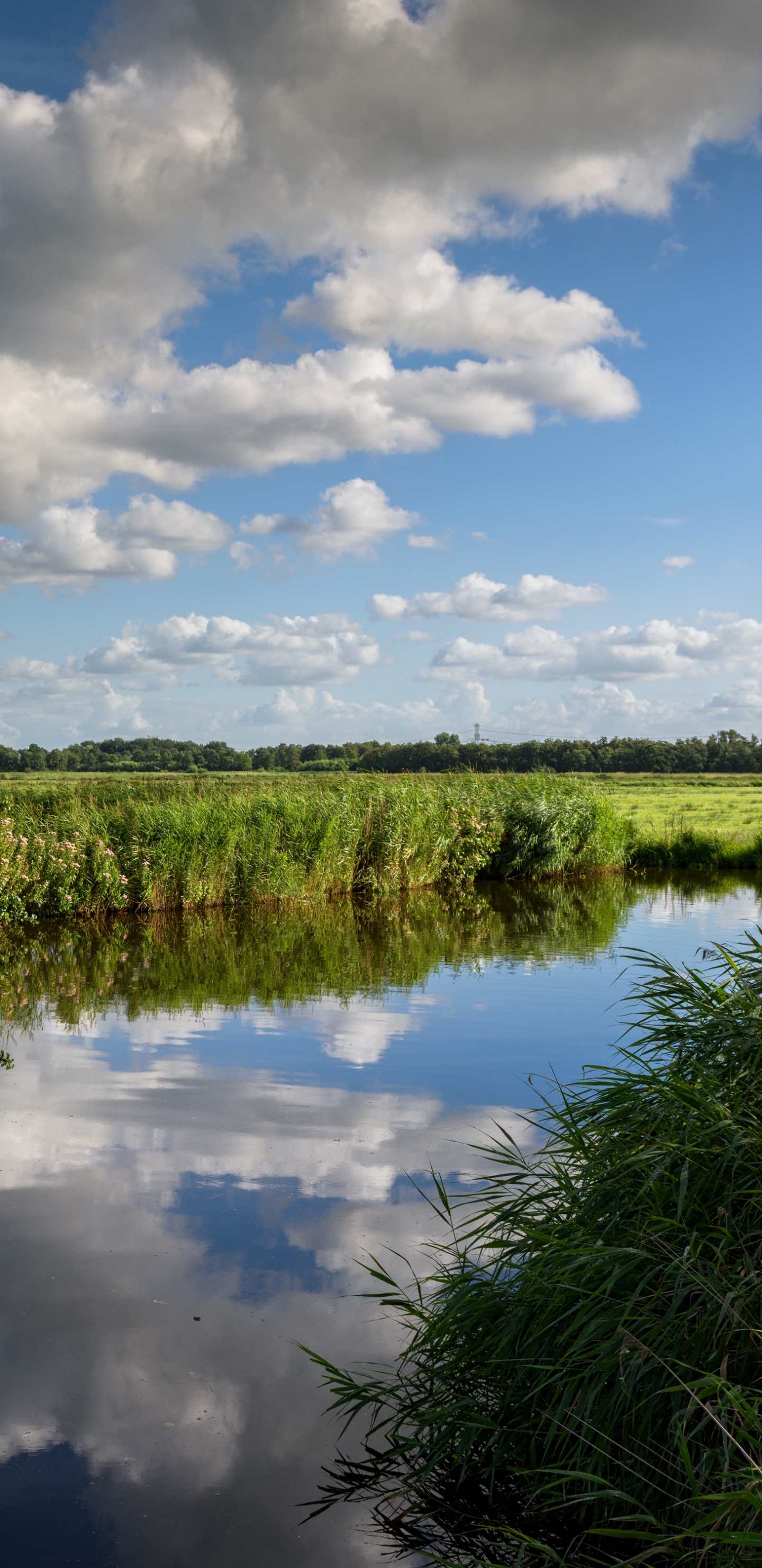 Green Grass Field Near River Under Blue and White Cloudy Sky During Daytime. Wallpaper in 1440x2960 Resolution