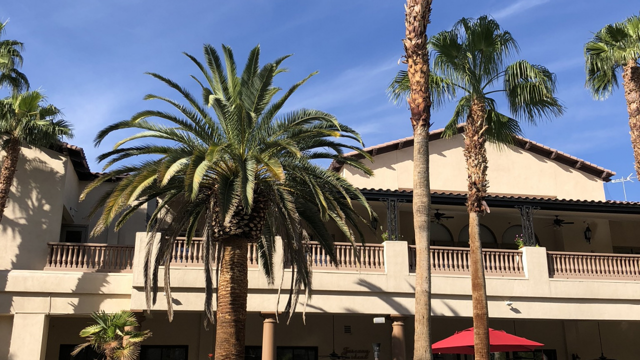 度假村, 房地产, 棕榈树, 酒店, 木本植物 壁纸 1280x720 允许