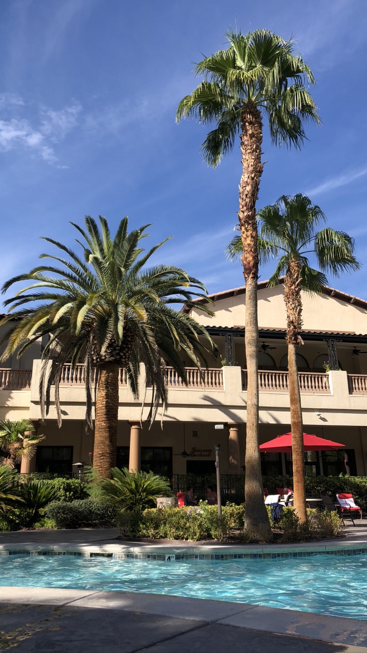 度假村, 房地产, 棕榈树, 酒店, 木本植物 壁纸 720x1280 允许