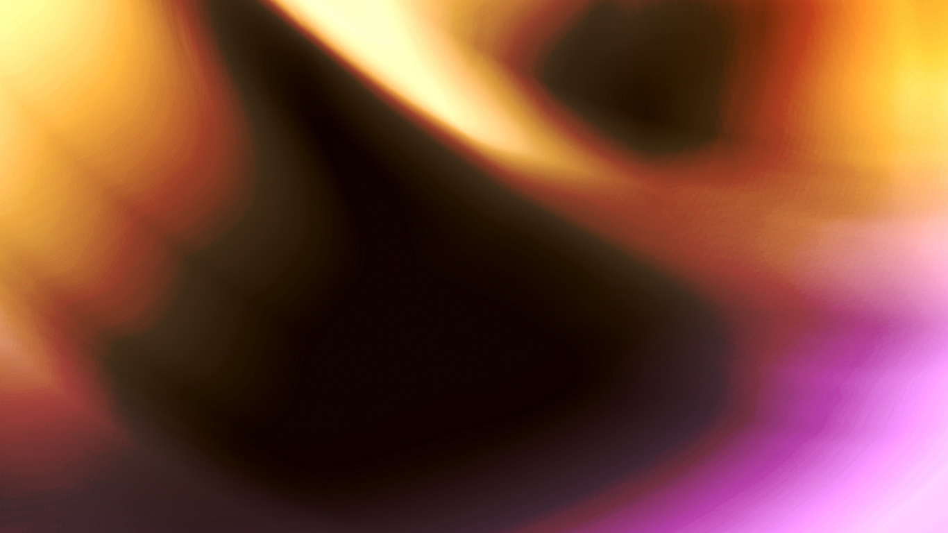 Orange, Colorfulness, Purple, Plant, Petal. Wallpaper in 1366x768 Resolution