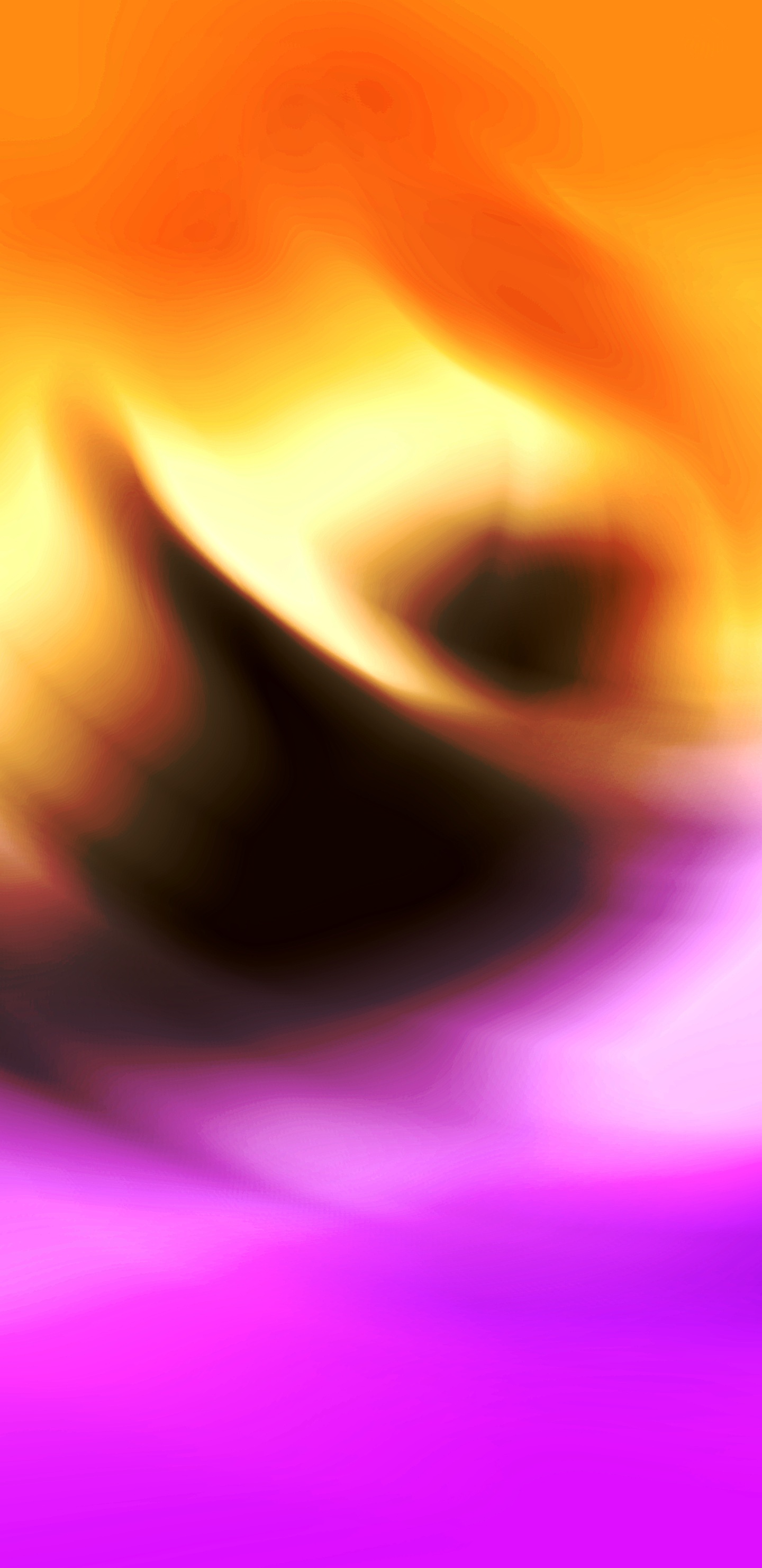 Orange, Colorfulness, Purple, Plant, Petal. Wallpaper in 1440x2960 Resolution