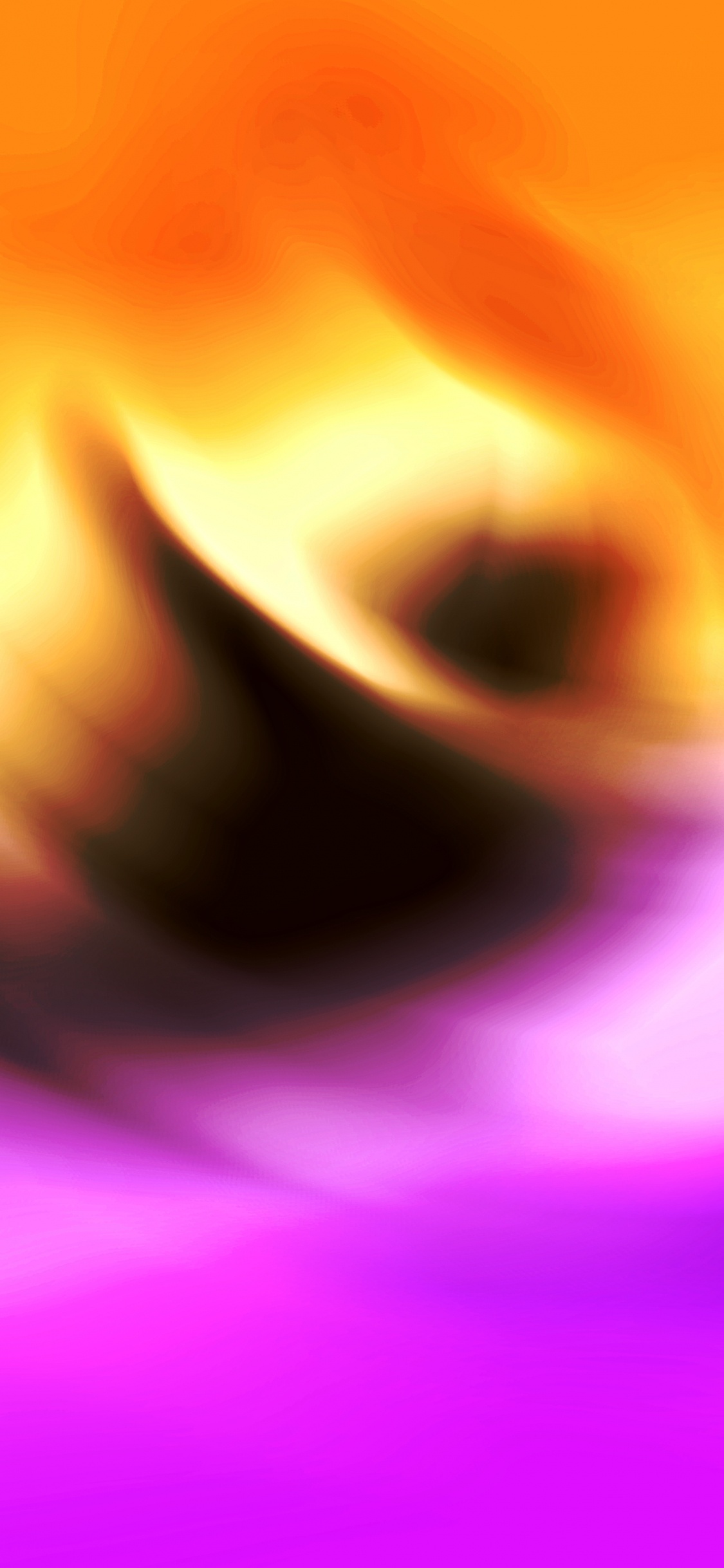 Orange, Farbigkeit, Purpur, Blütenblatt, Veilchen. Wallpaper in 1125x2436 Resolution