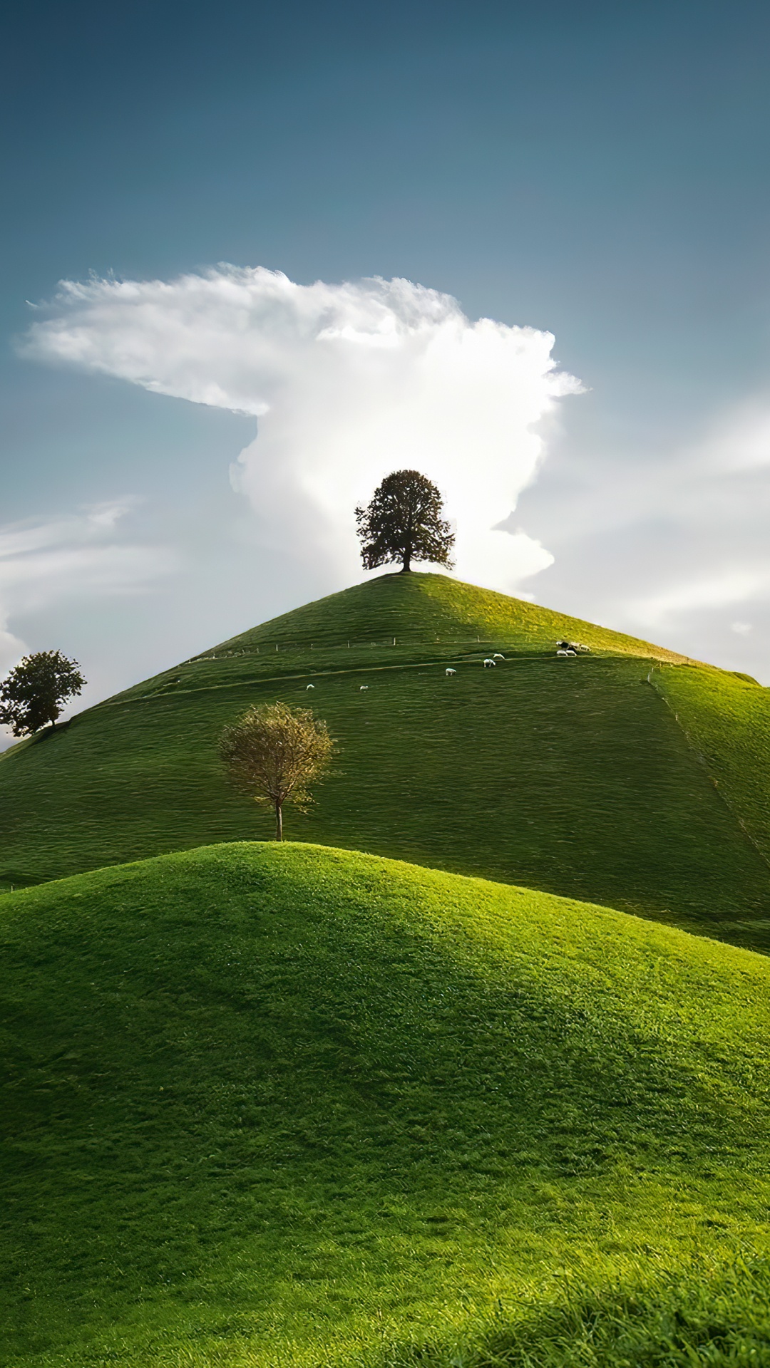 Paysage Naturel, Les Gens Dans la Nature, Pente, Plaine, Prairie. Wallpaper in 1080x1920 Resolution