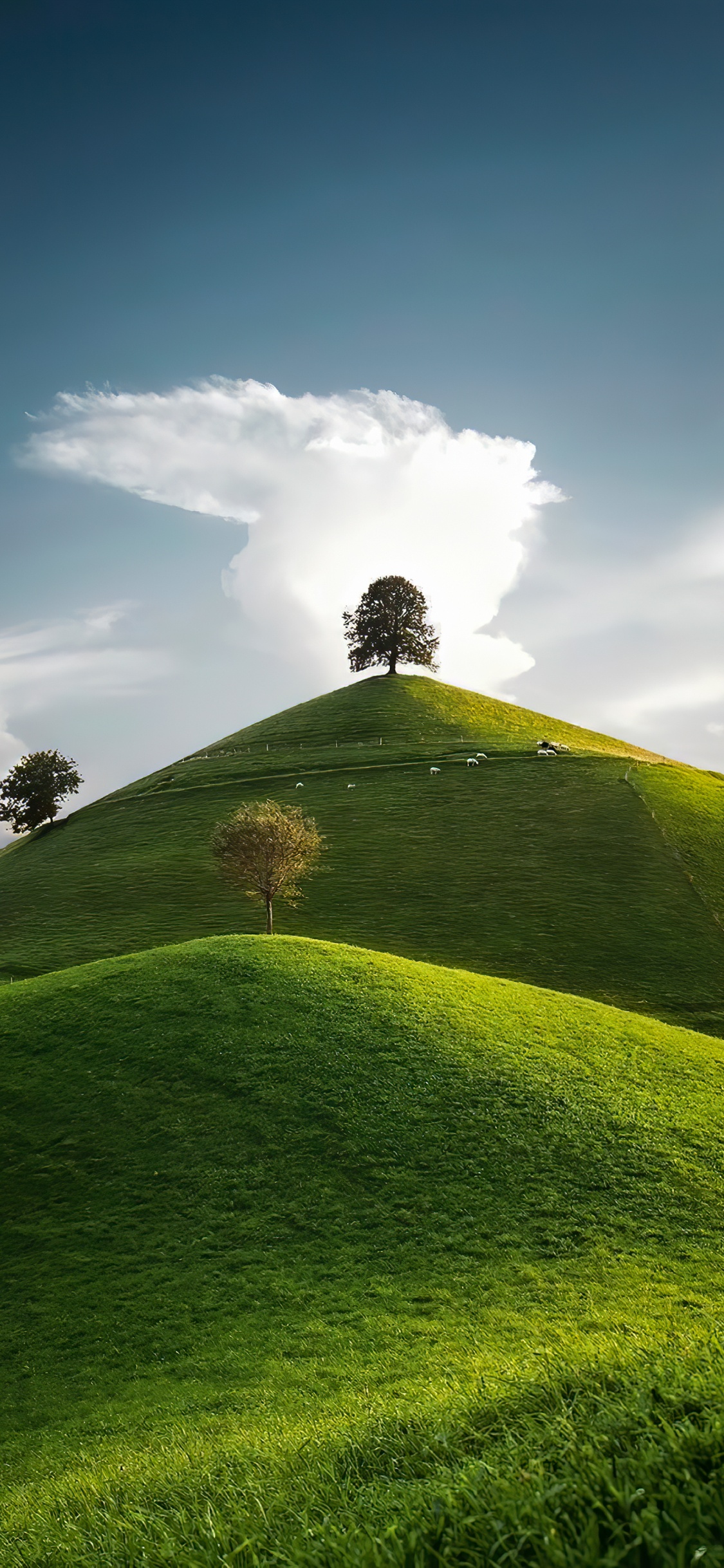 Paysage Naturel, Les Gens Dans la Nature, Pente, Plaine, Prairie. Wallpaper in 1125x2436 Resolution