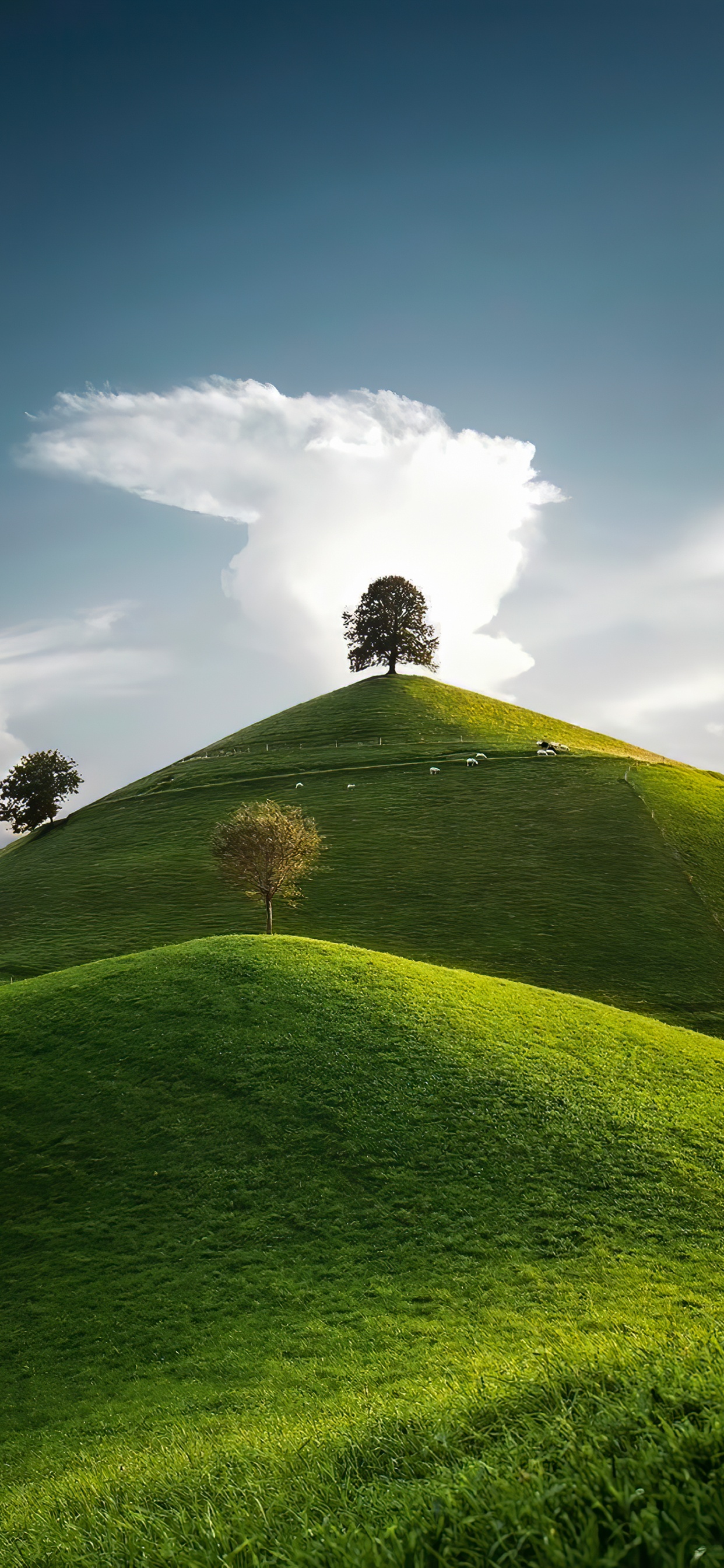Paysage Naturel, Les Gens Dans la Nature, Pente, Plaine, Prairie. Wallpaper in 1242x2688 Resolution