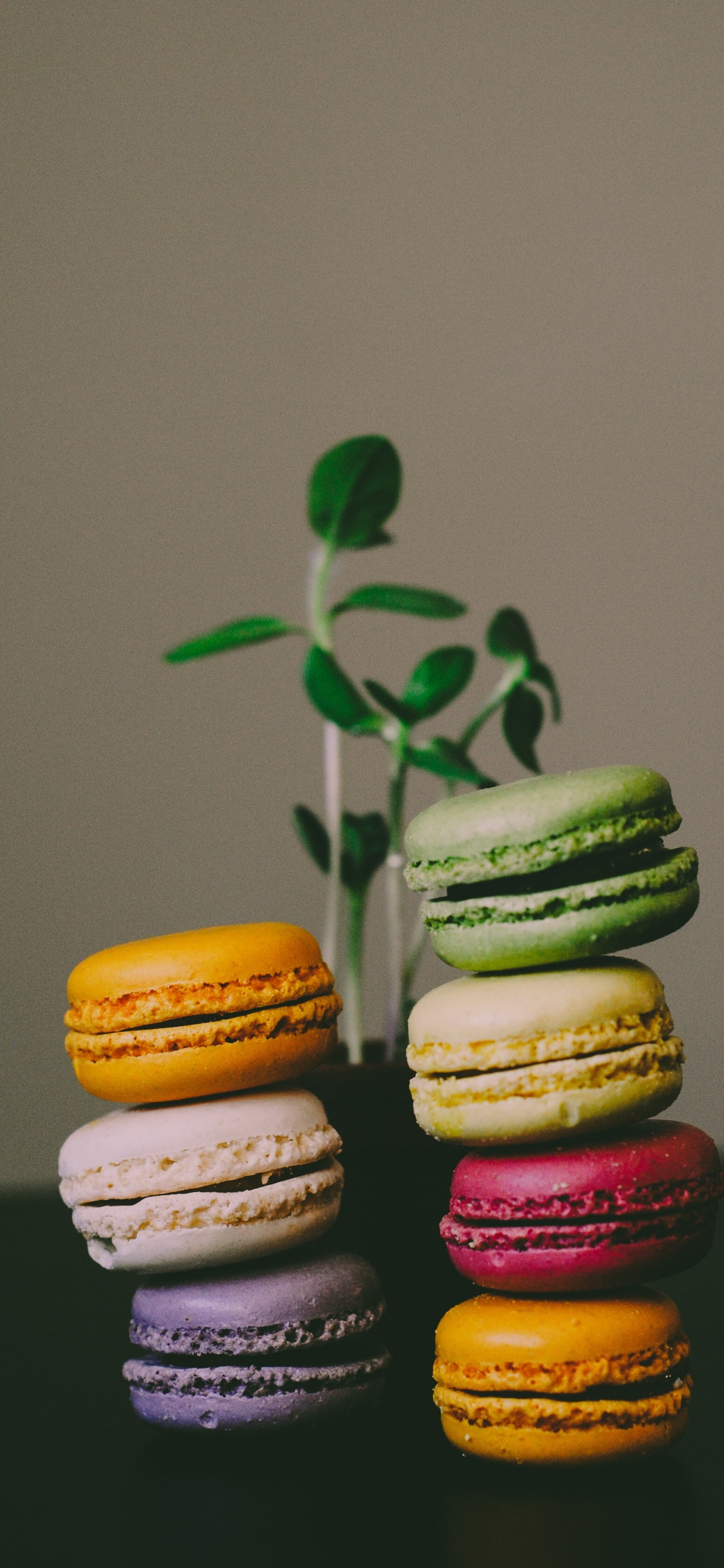 3 Macarrones Blancos, Amarillos y Rojos. Wallpaper in 1125x2436 Resolution