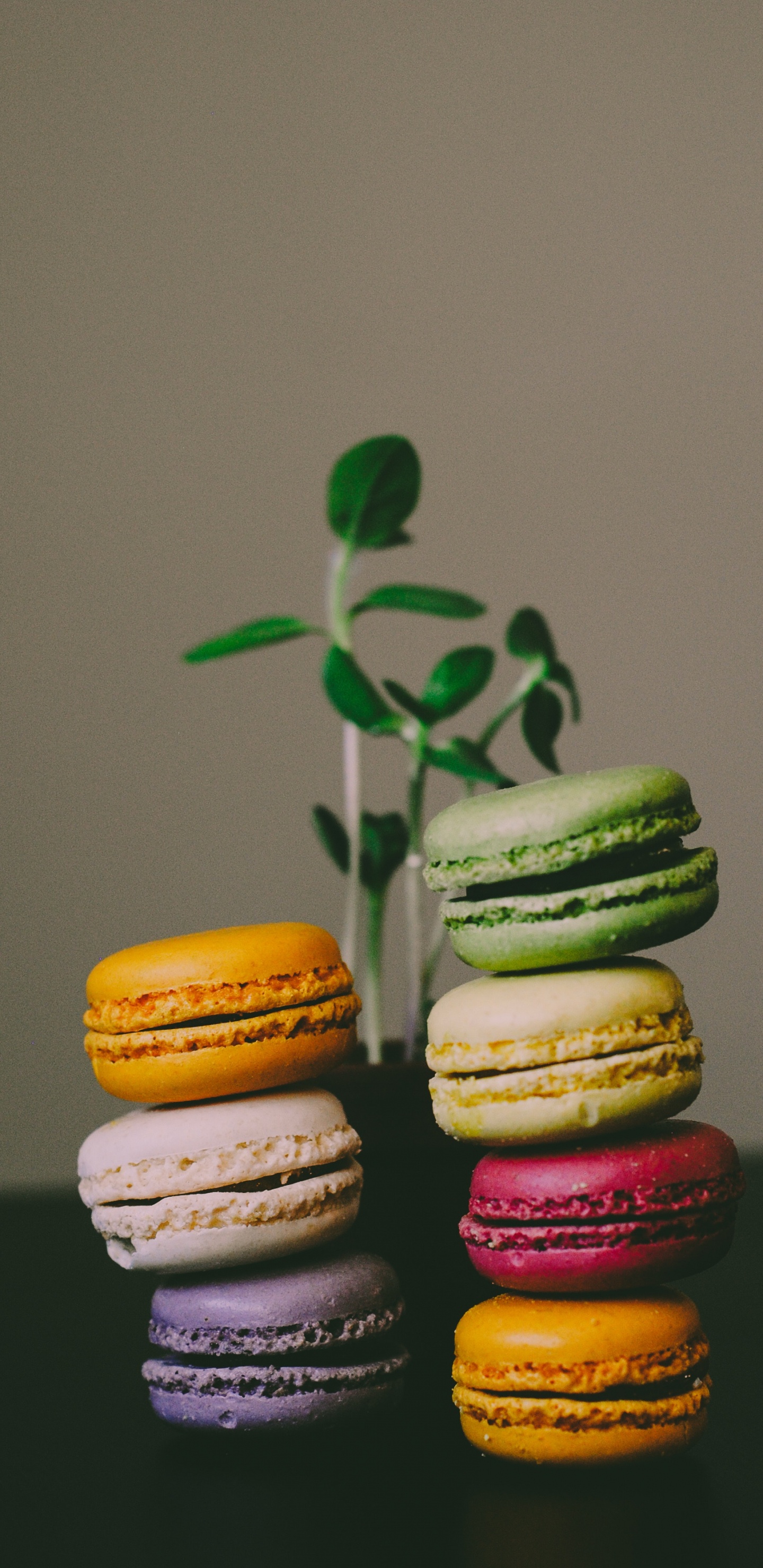 3 Macarrones Blancos, Amarillos y Rojos. Wallpaper in 1440x2960 Resolution