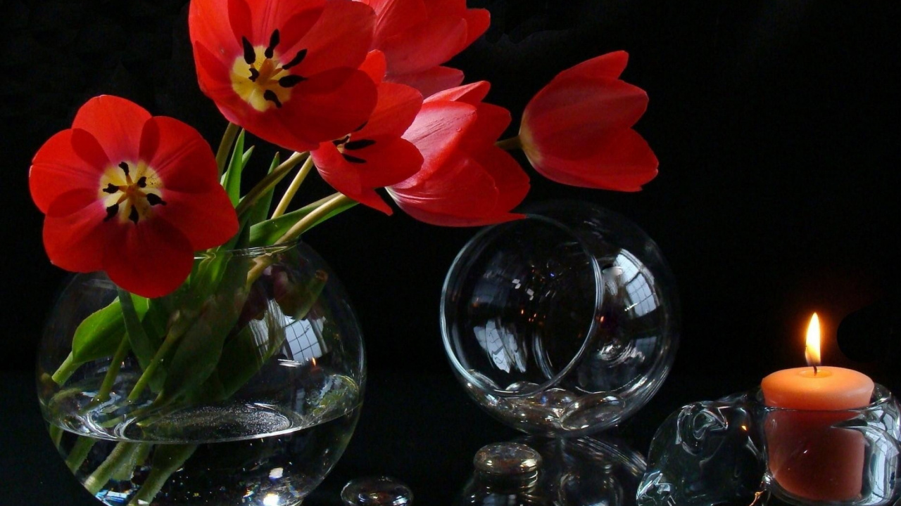 Tulipes Rouges Dans un Vase en Verre Transparent. Wallpaper in 1280x720 Resolution