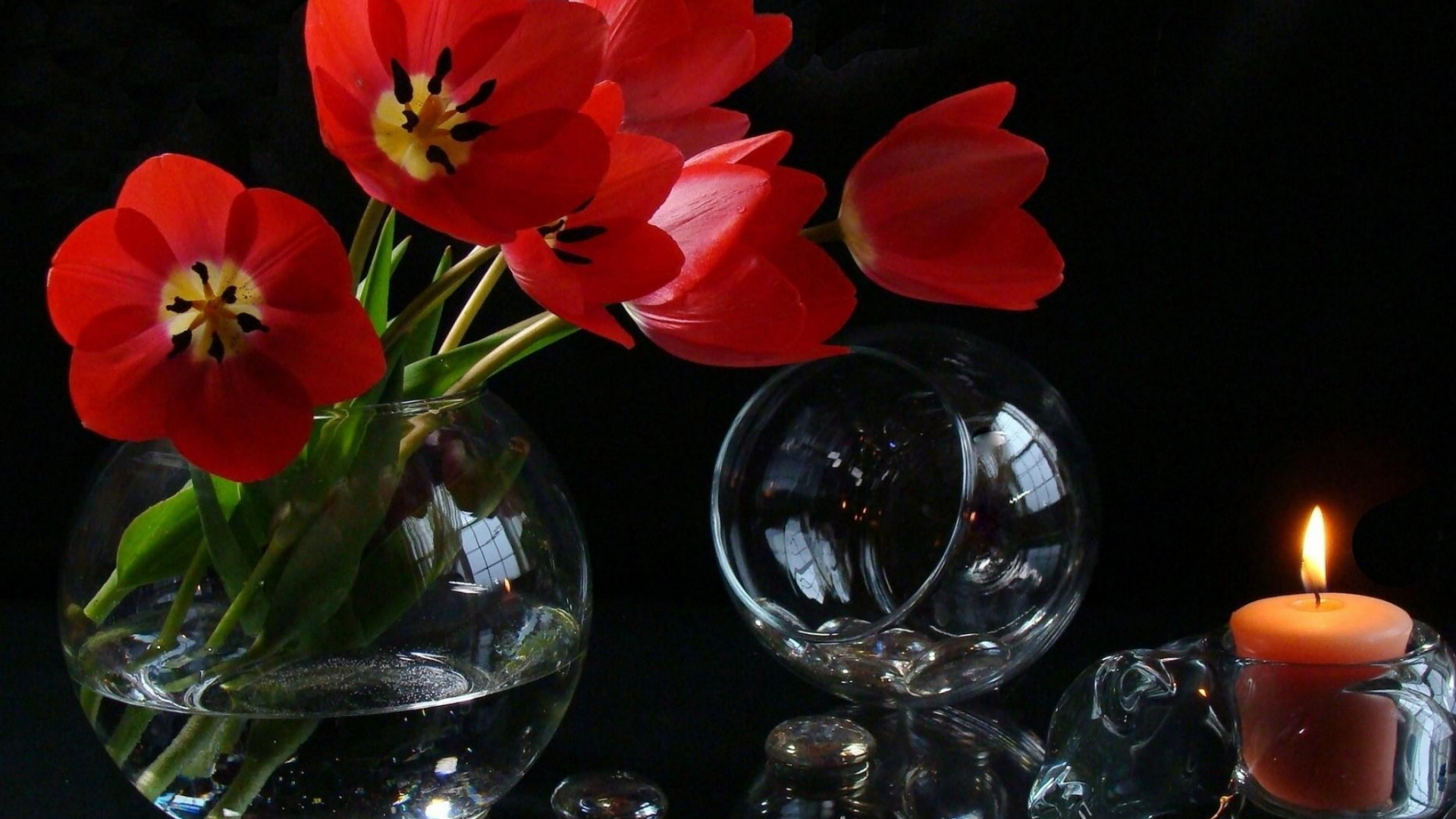 Red Tulips in Clear Glass Vase. Wallpaper in 1920x1080 Resolution