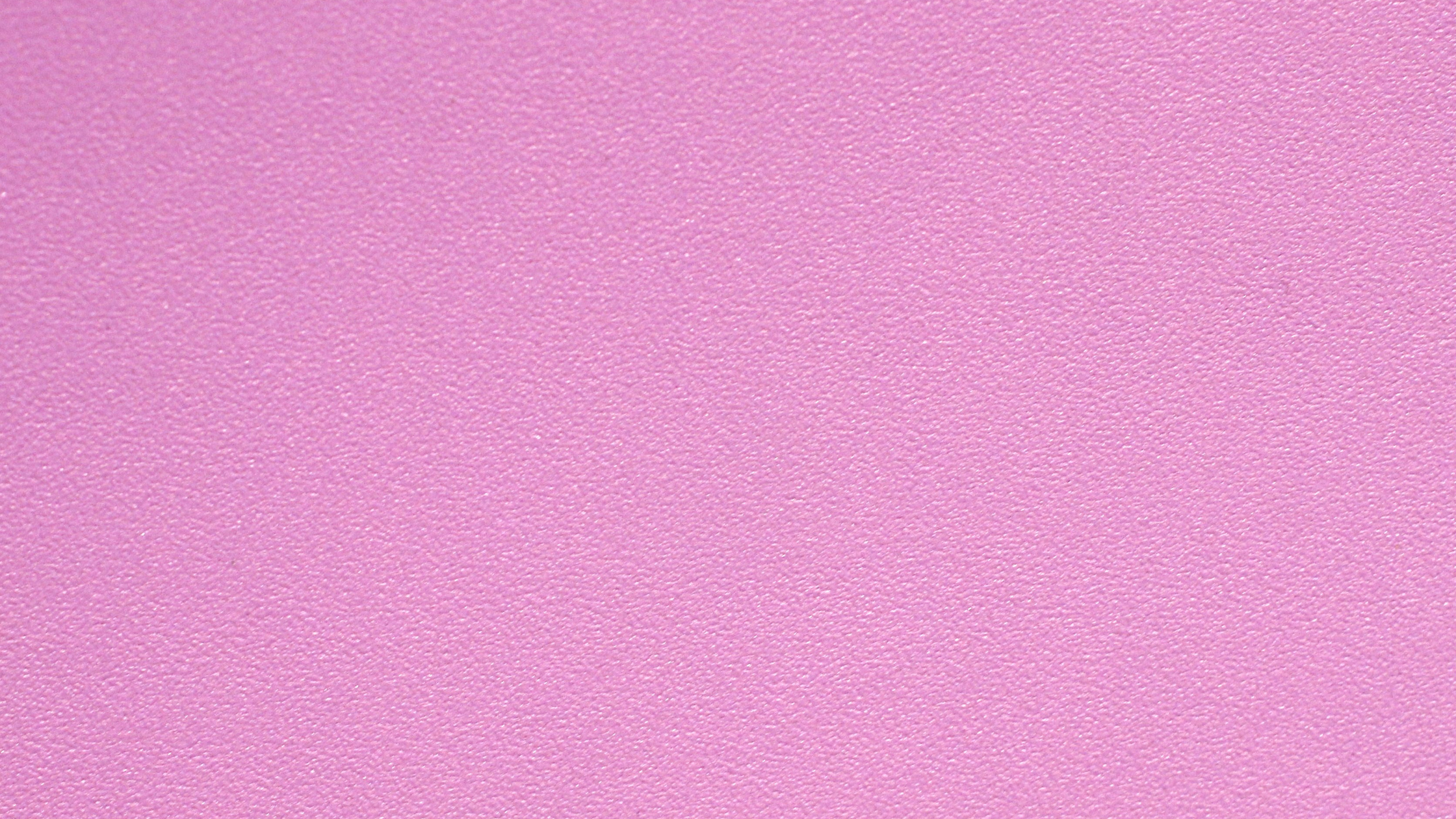 Textile Rose Avec Fond Rose. Wallpaper in 2560x1440 Resolution